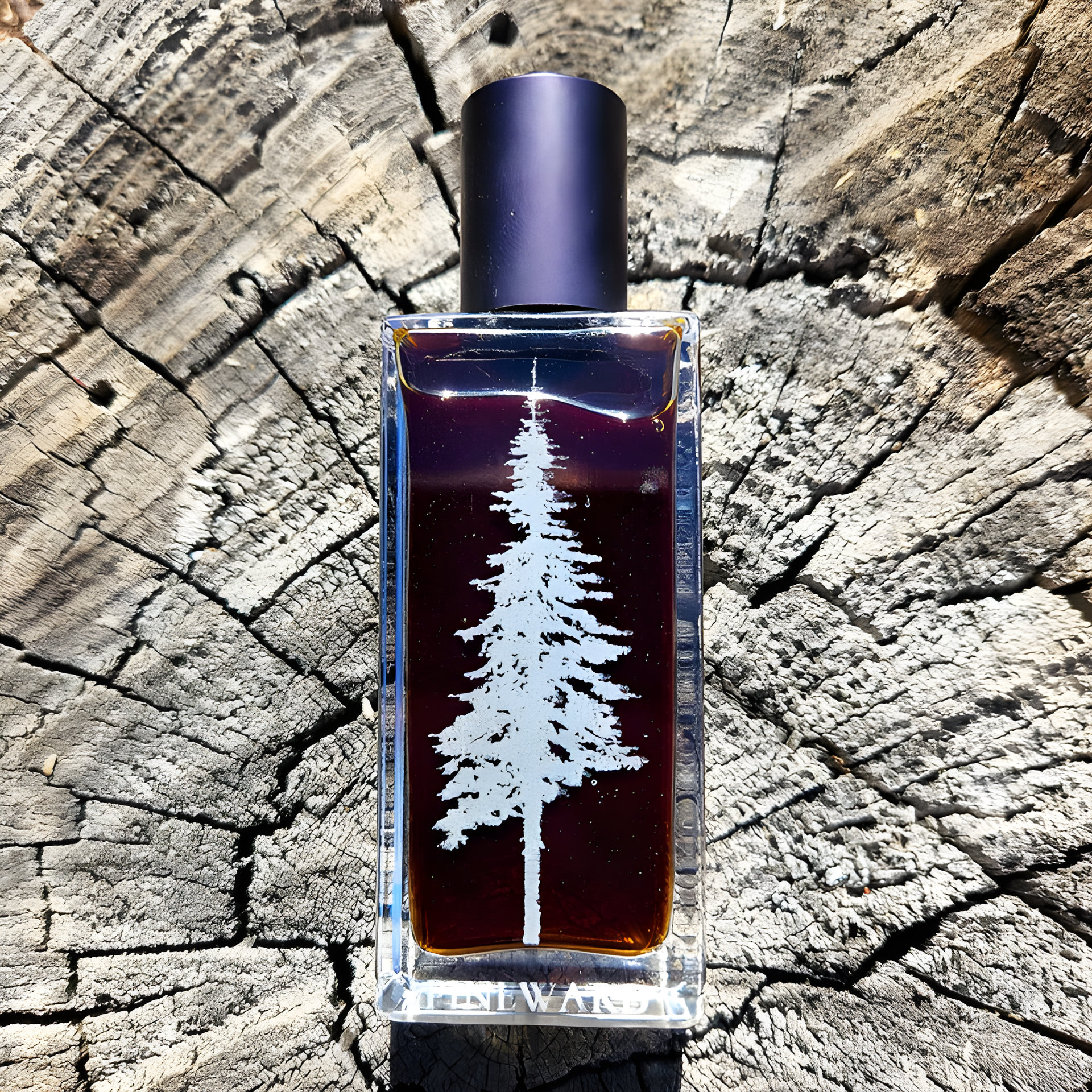 Picture of Nocturnis fragrance