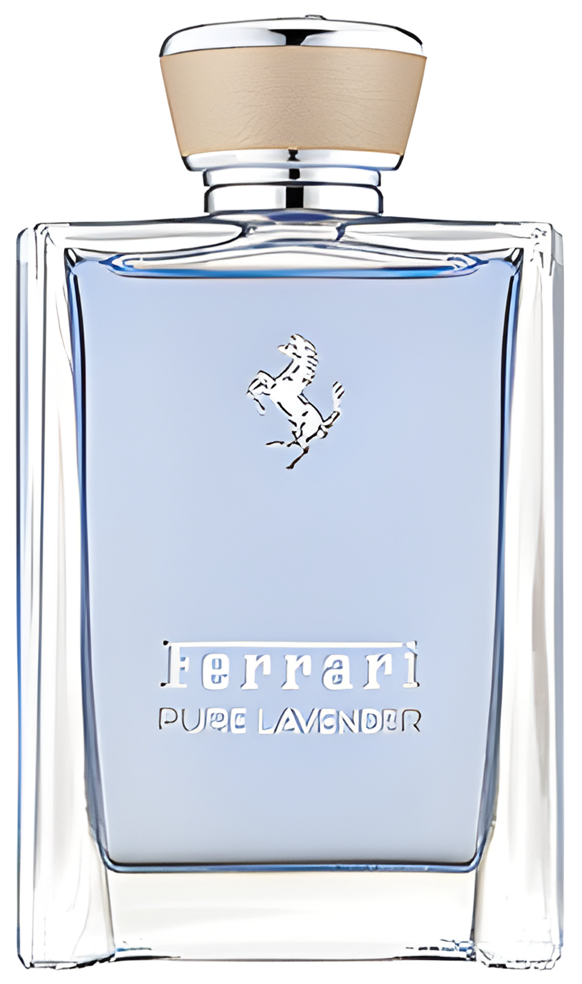 Picture of Pure Lavender fragrance
