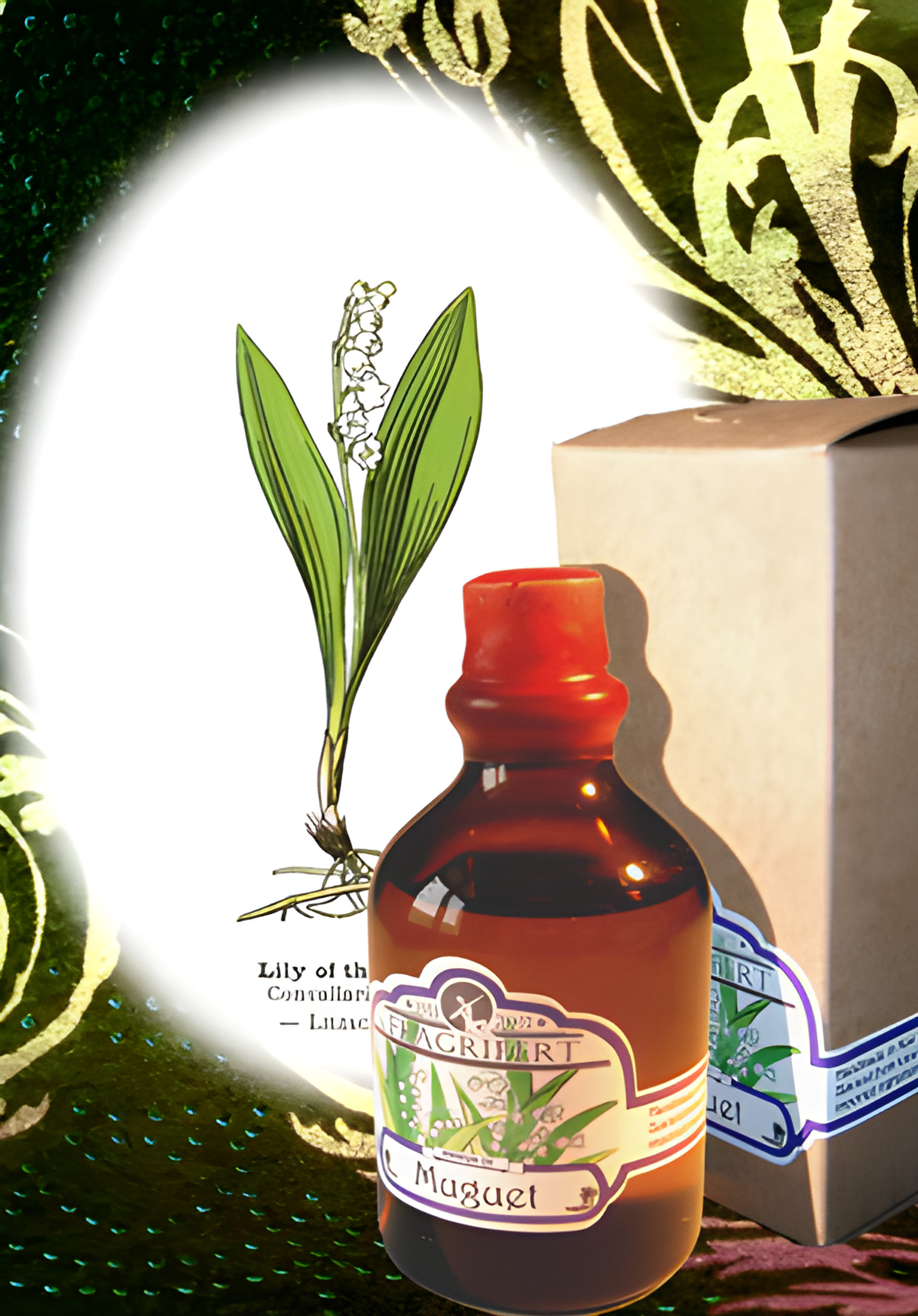 Picture of Muguet fragrance