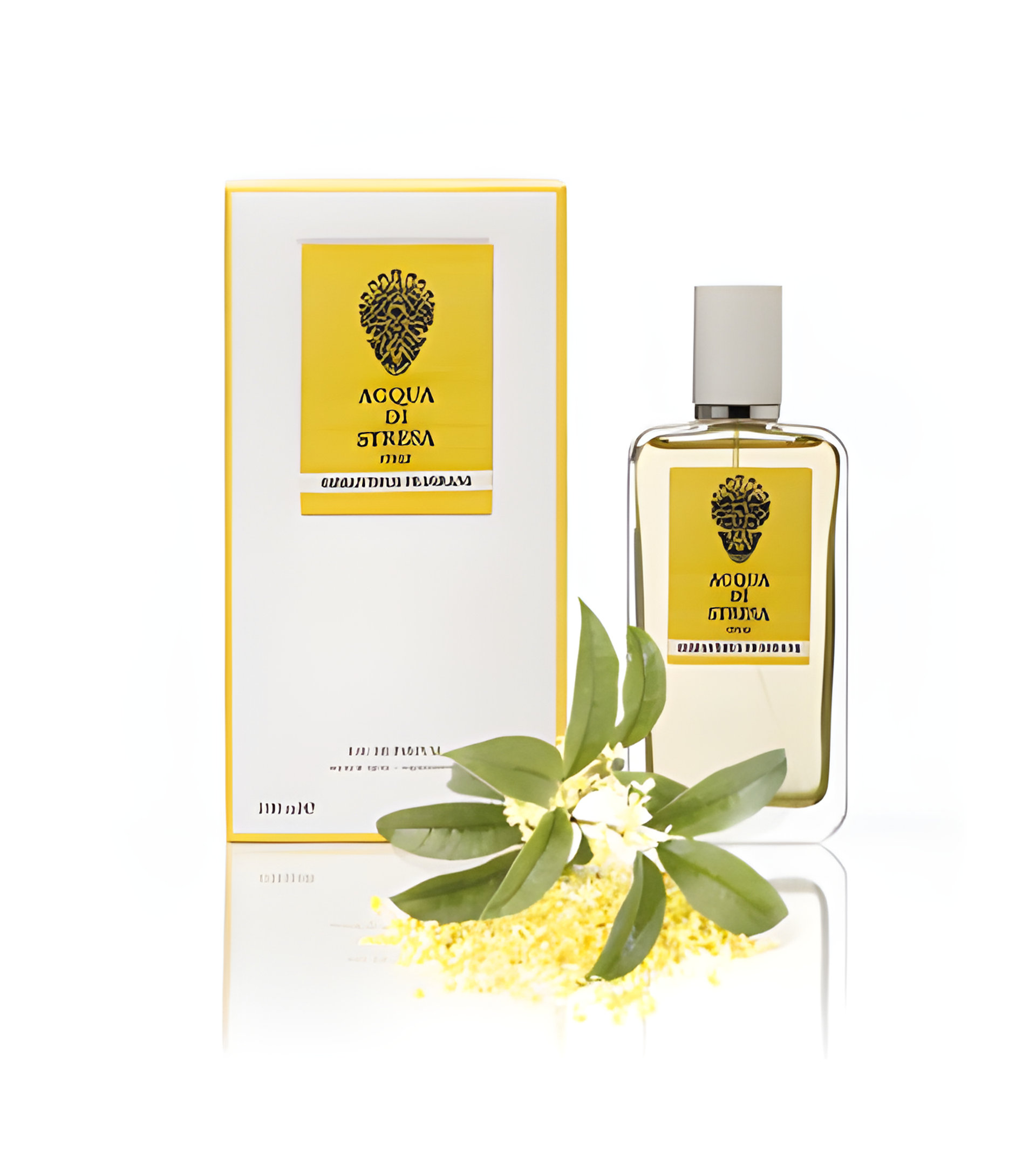 Picture of Osmanthus Fragrans fragrance