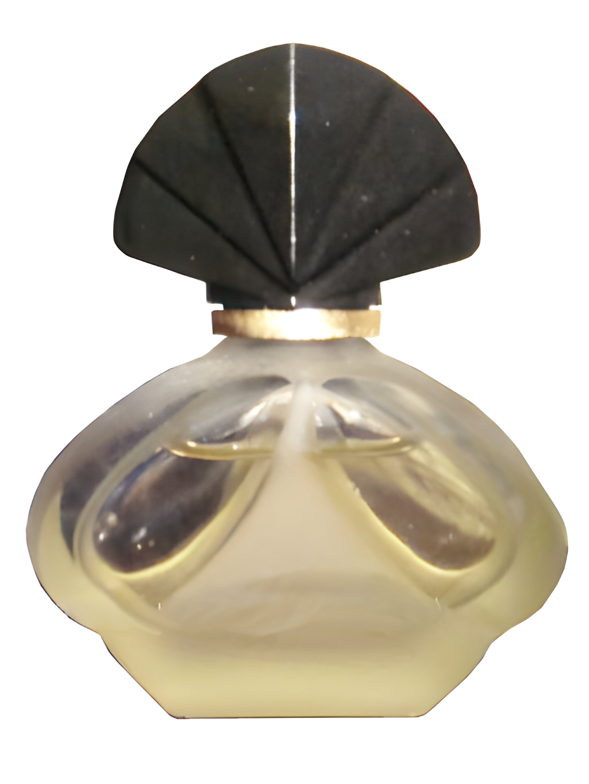 Picture of Laima fragrance