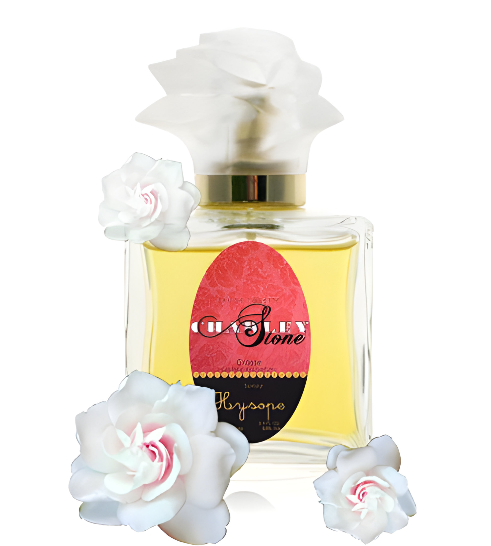 Picture of Hysope fragrance