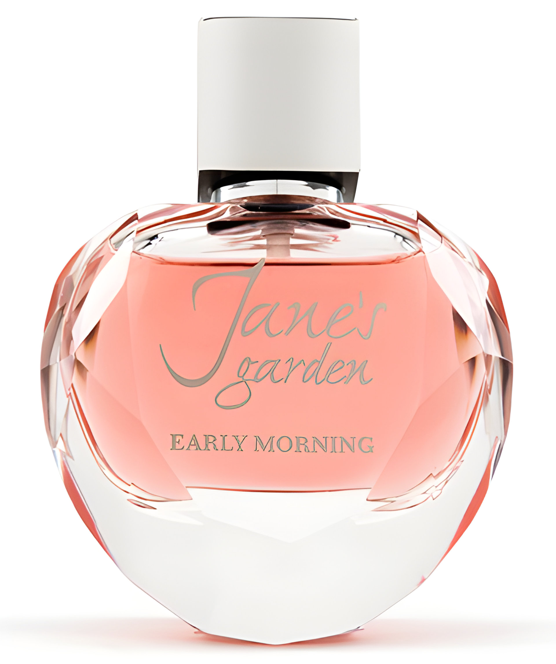 Picture of Jane's Garden Early Morning fragrance