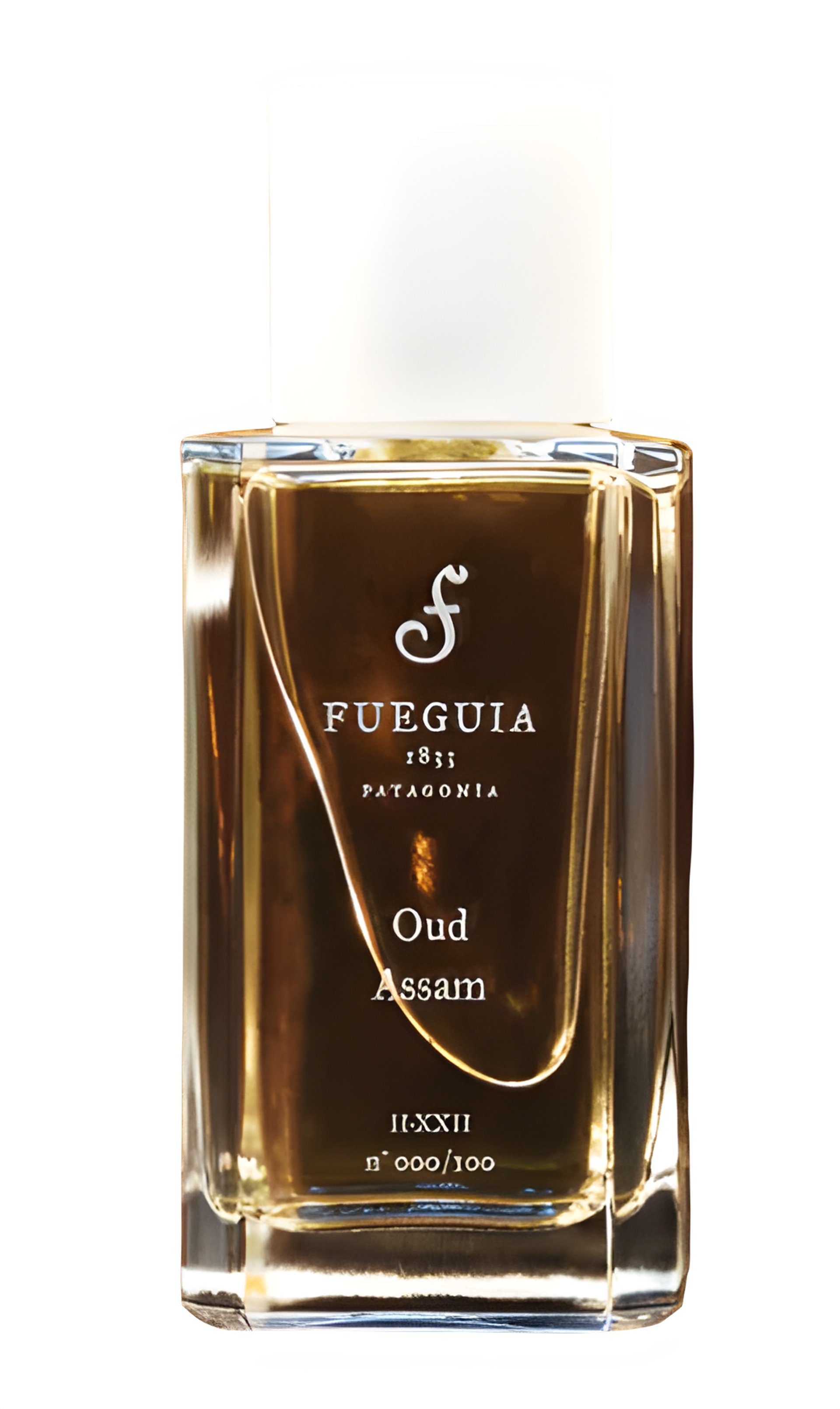 Picture of Oud Assam fragrance