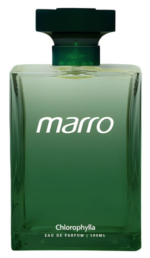 Marro Eau de Parfum by Chlorophylla perfume bottle