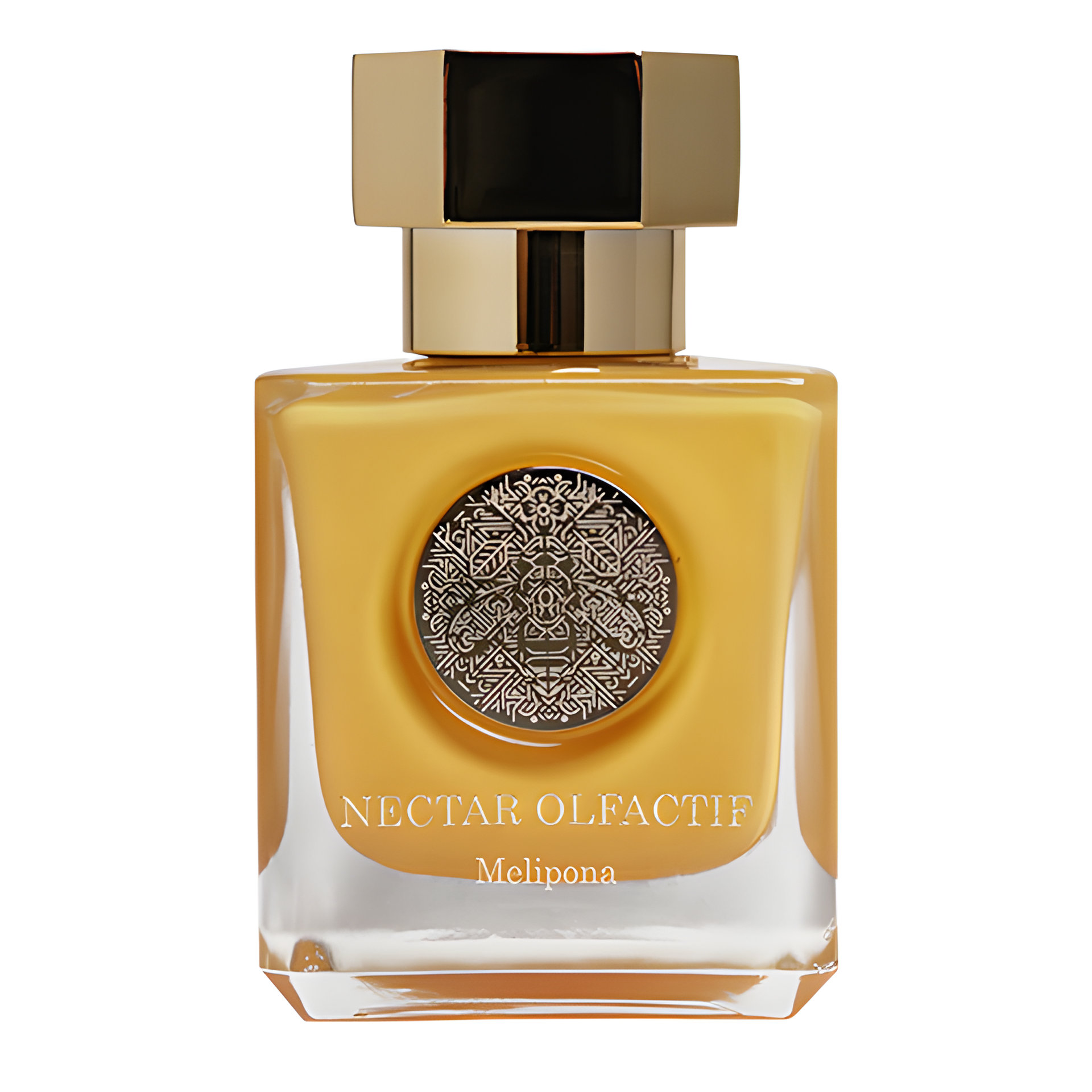 Picture of Melipona fragrance
