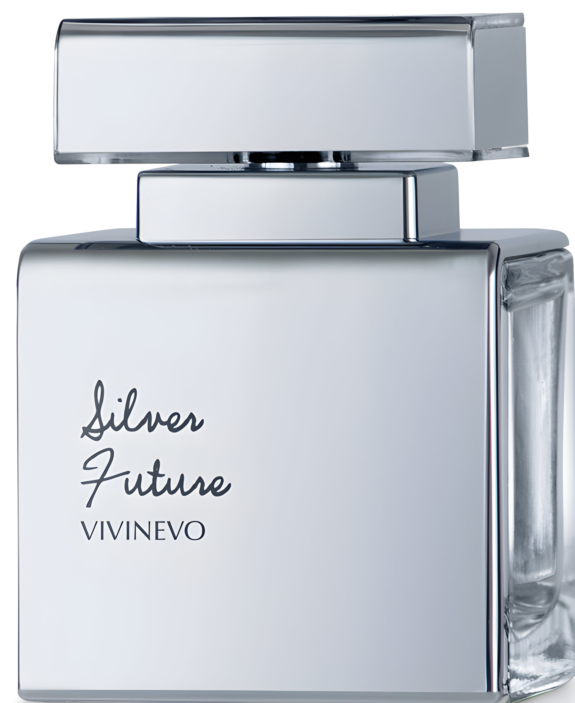 Picture of Silver Future fragrance