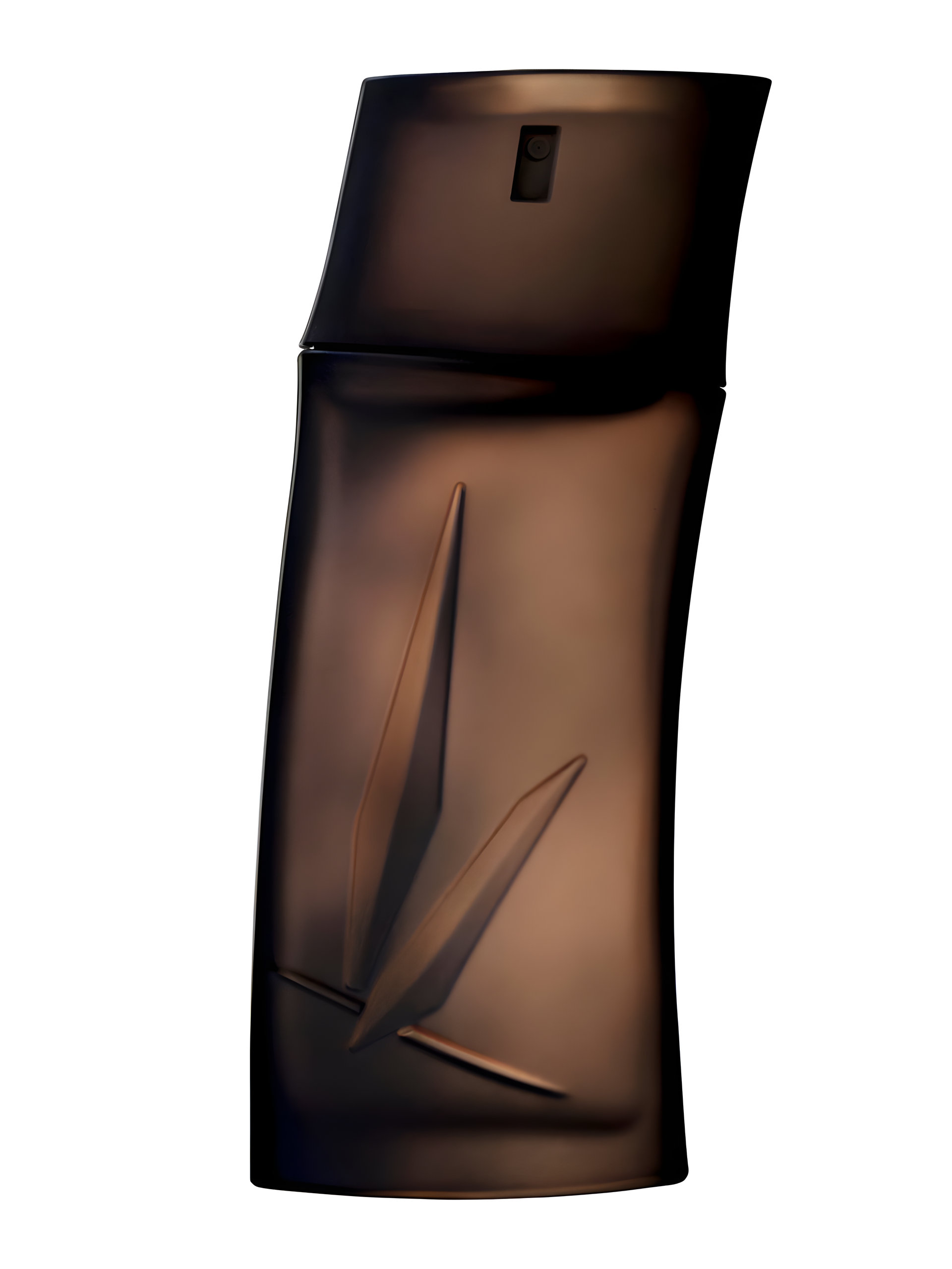 Picture of Kenzo Homme Boisee fragrance