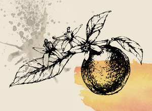 No. 1 by Allen Shaw perfume bottle