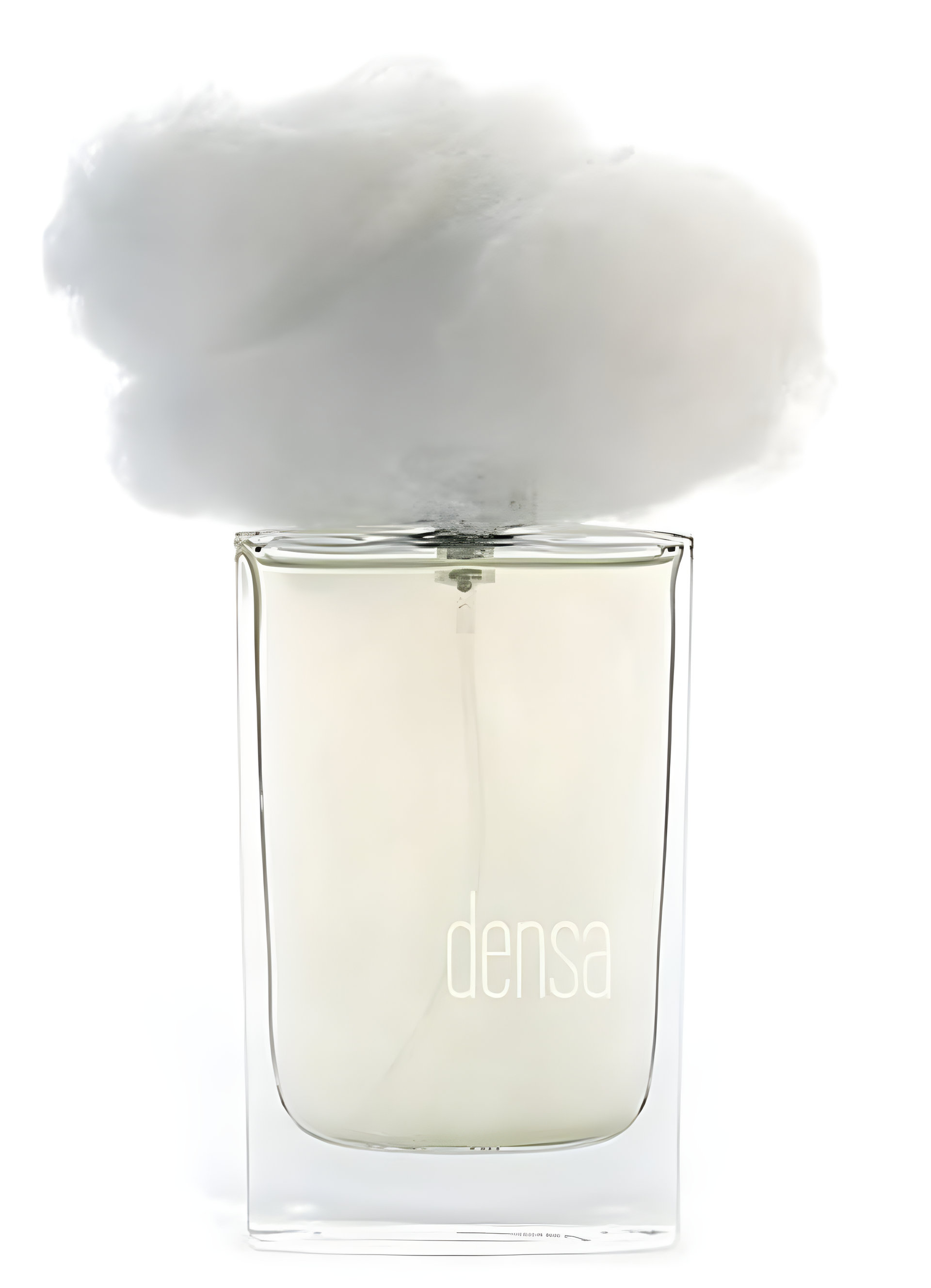 Picture of Nebbia Densa fragrance
