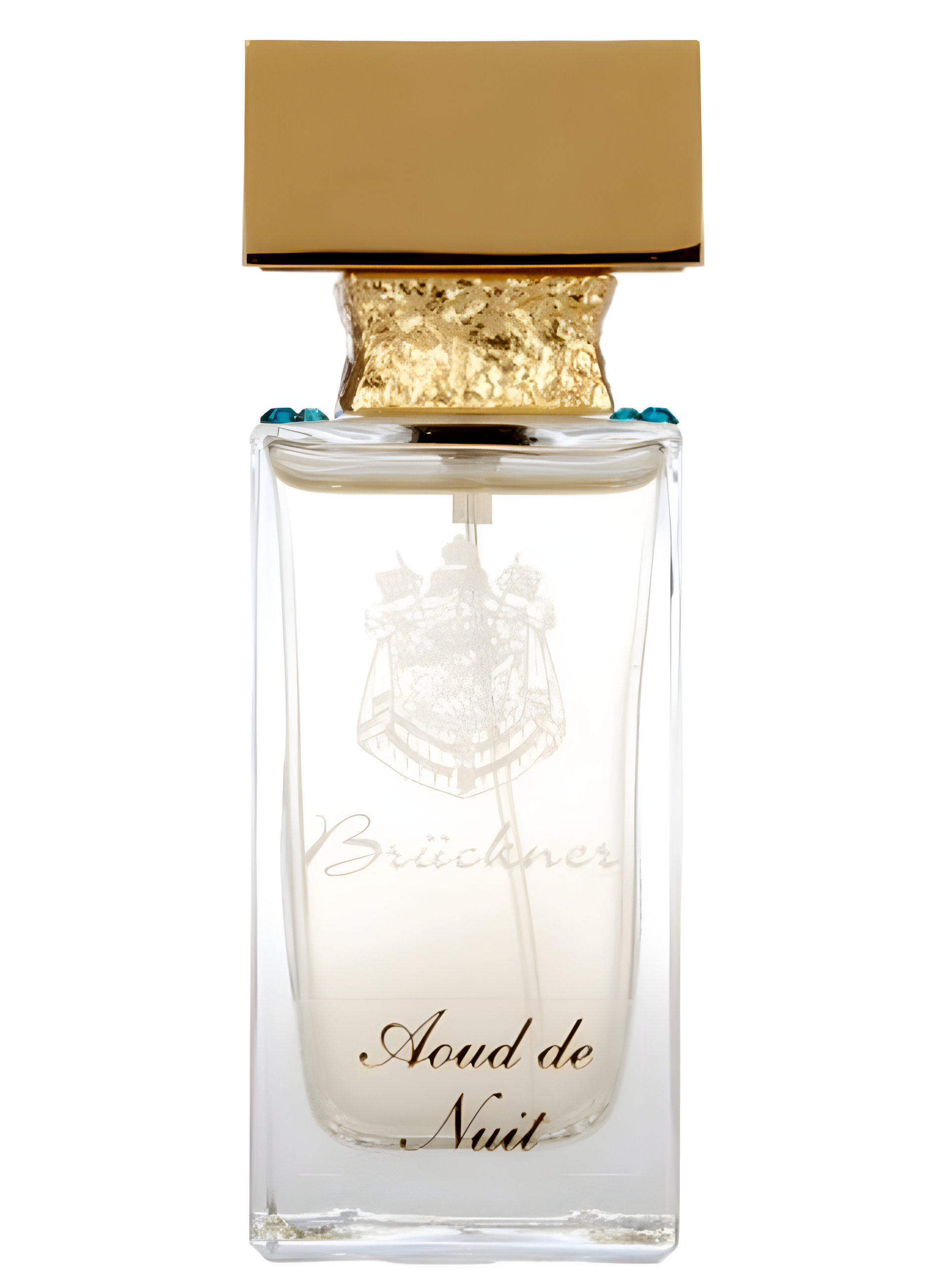 Picture of Aoud de Nuit fragrance
