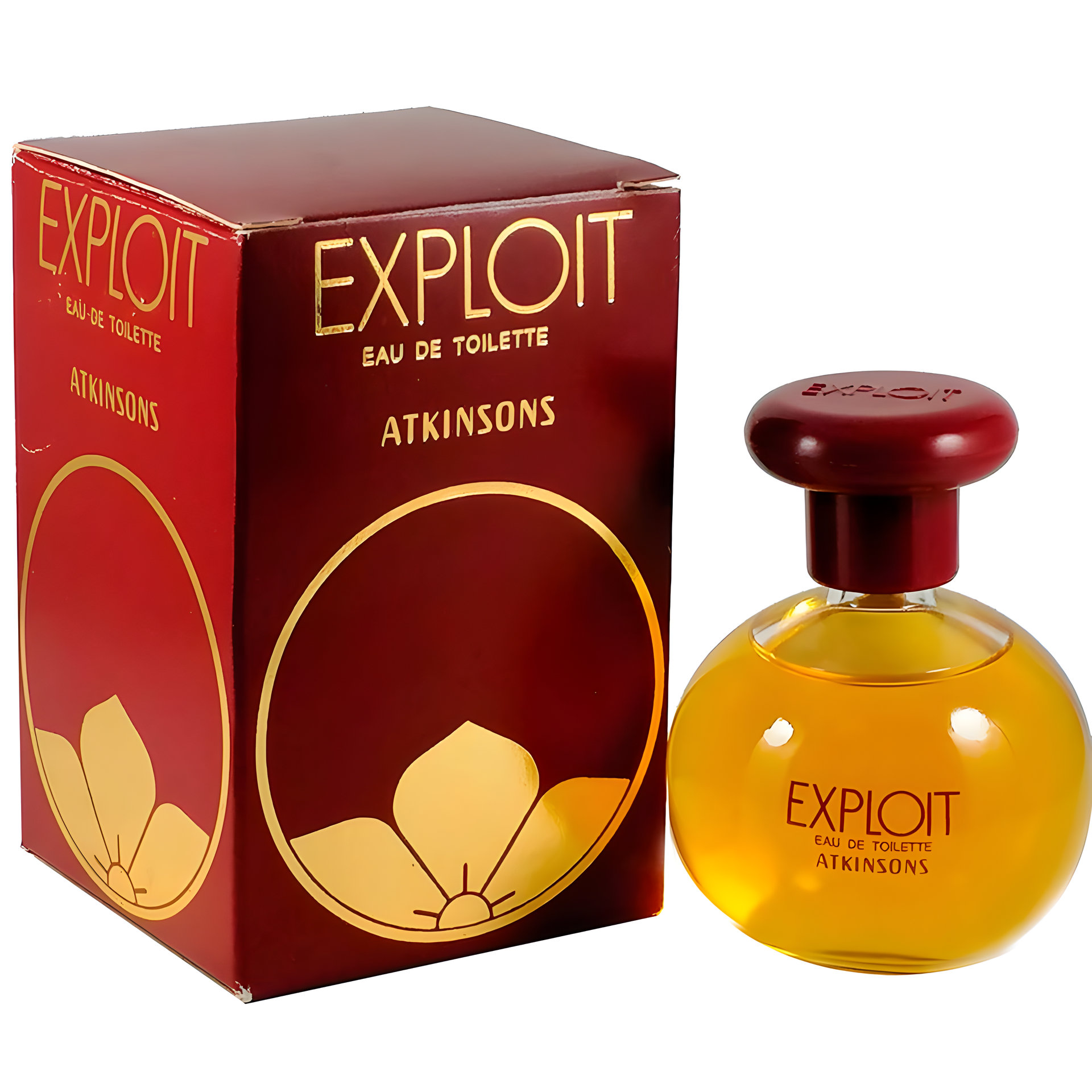 Exploit by Atkinsons