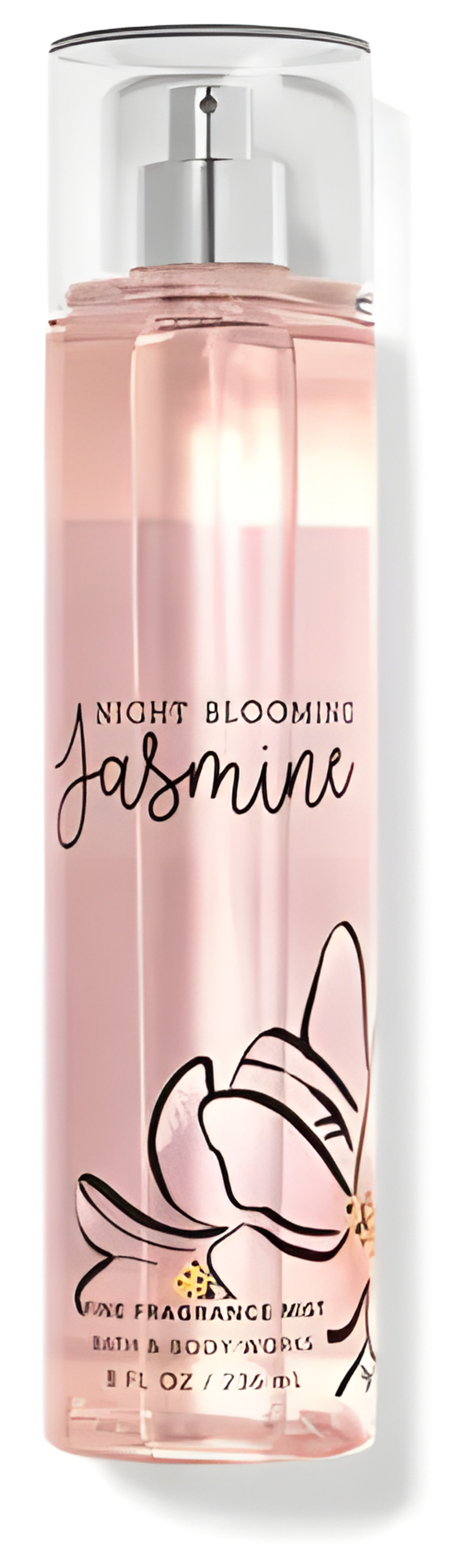Picture of Night Blooming Jasmine fragrance