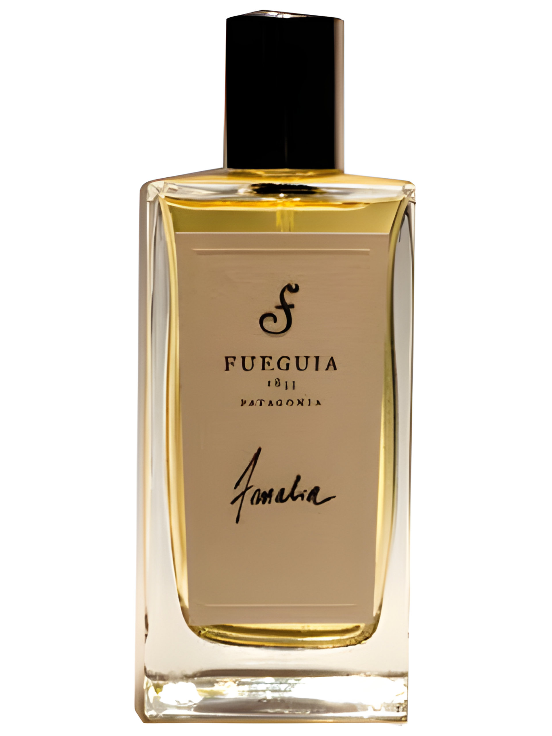 Picture of Amalia Primavera fragrance