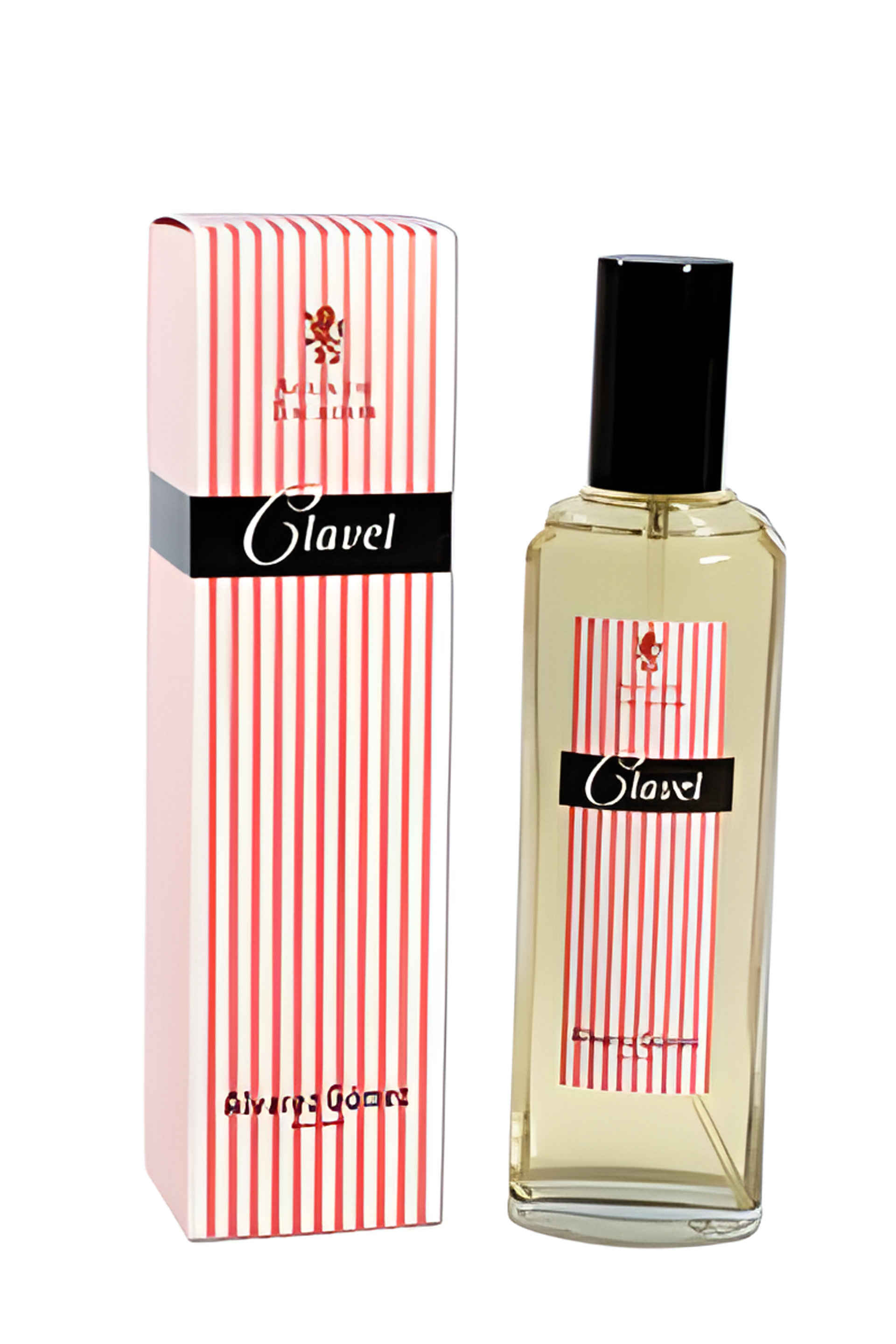 Picture of Carnation fragrance