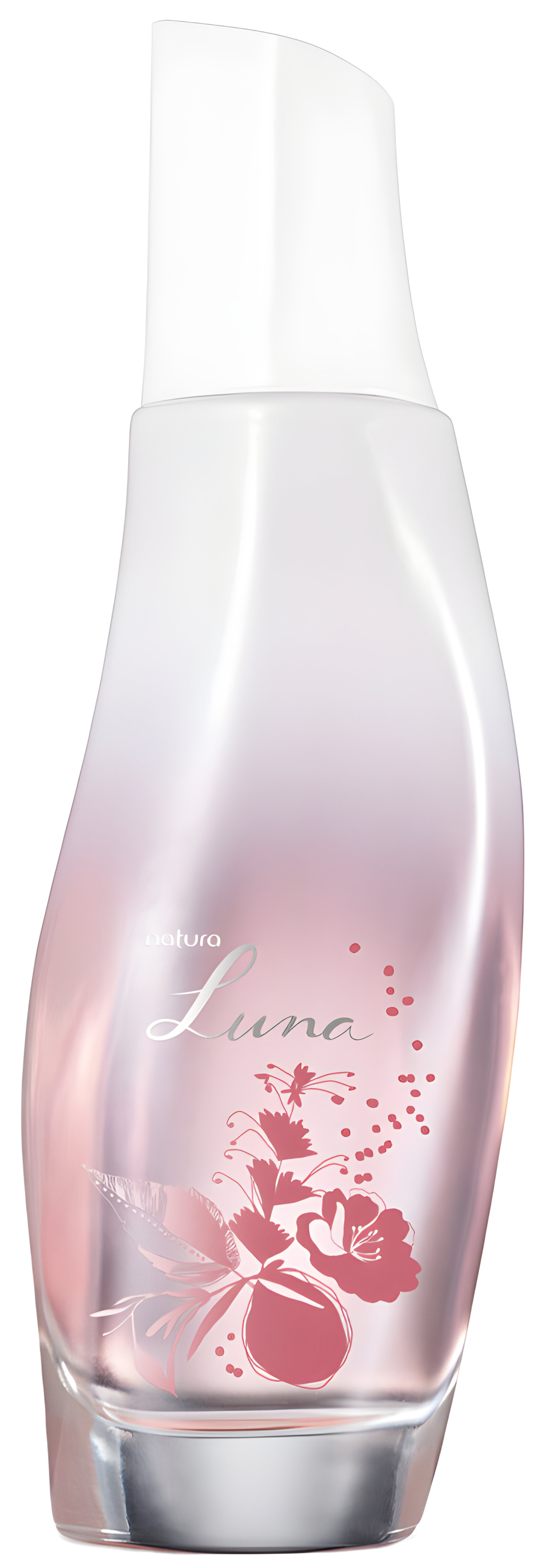 Picture of Luna 10 Anos fragrance