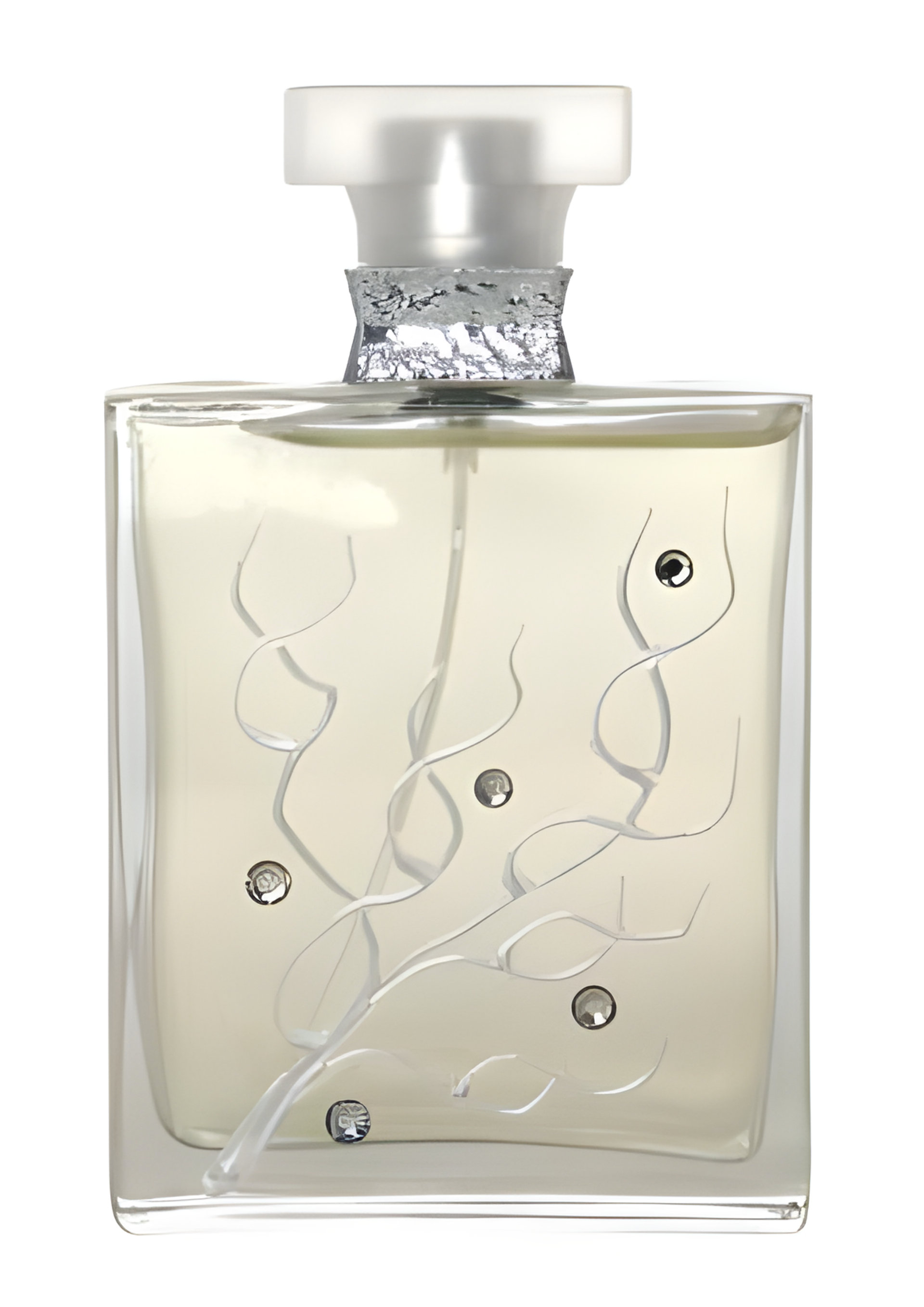 Picture of Les 4 Saisons: Black Sea fragrance
