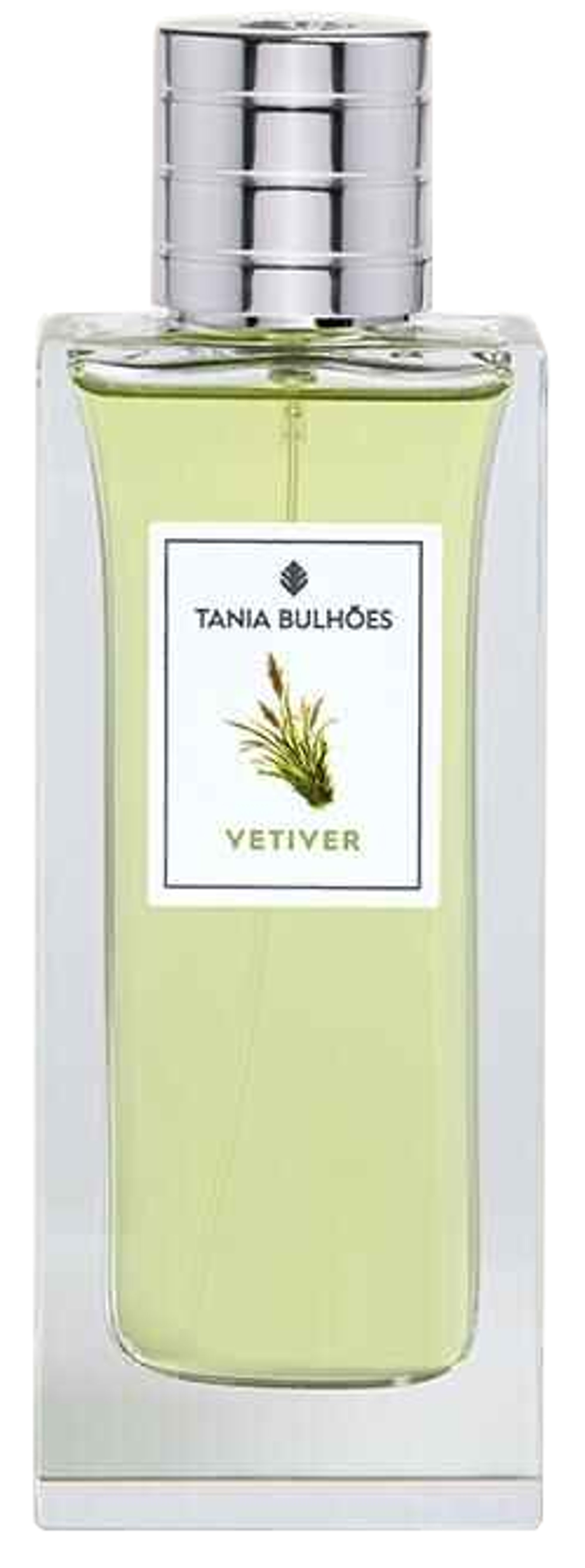 Picture of Vetiver fragrance