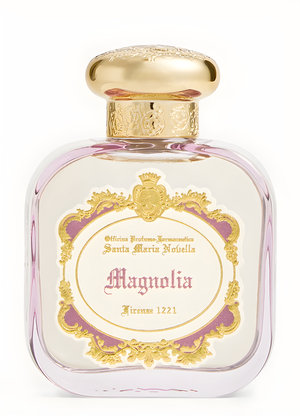 Picture of Magnolia (2023) fragrance