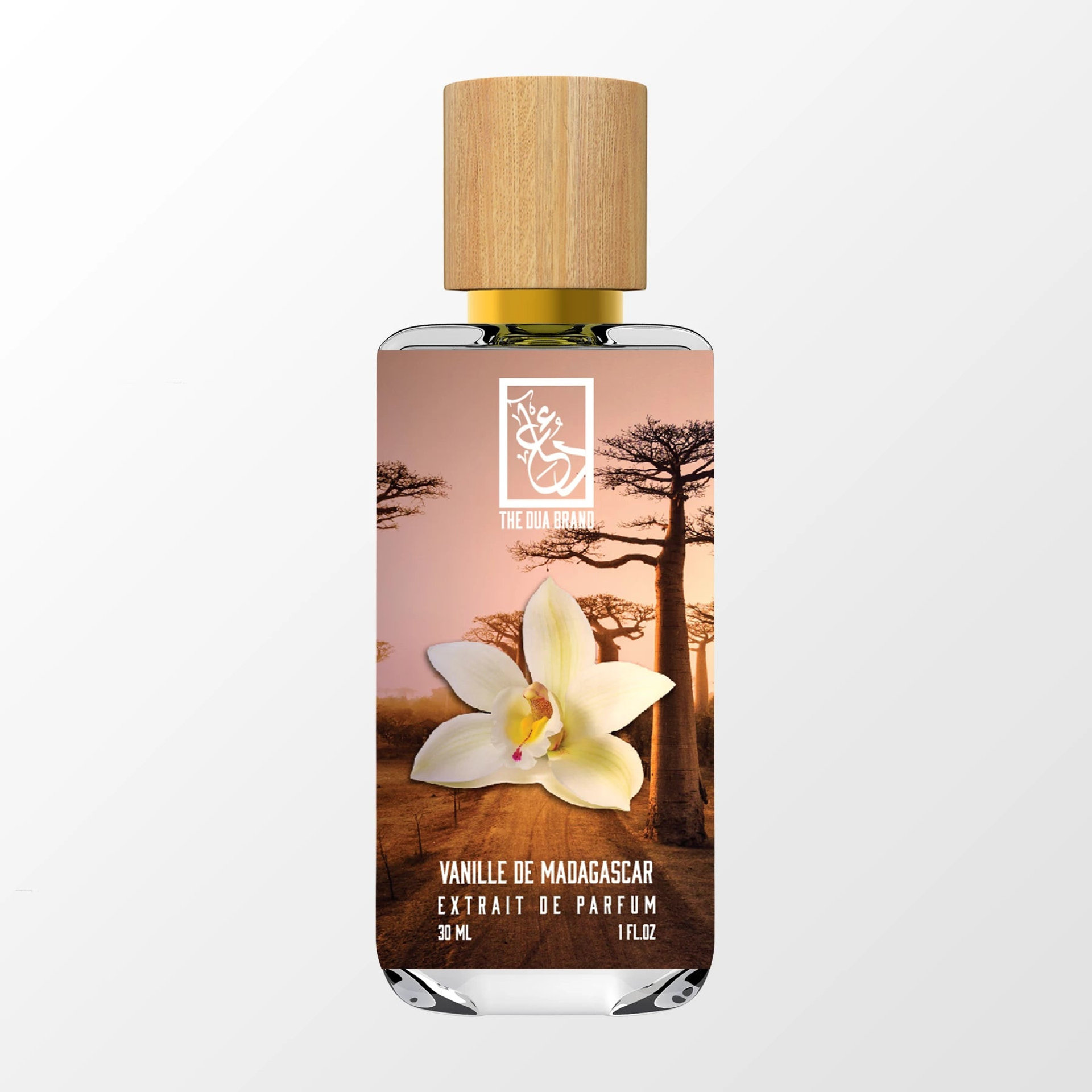 Picture of Vanille de Madagascar fragrance