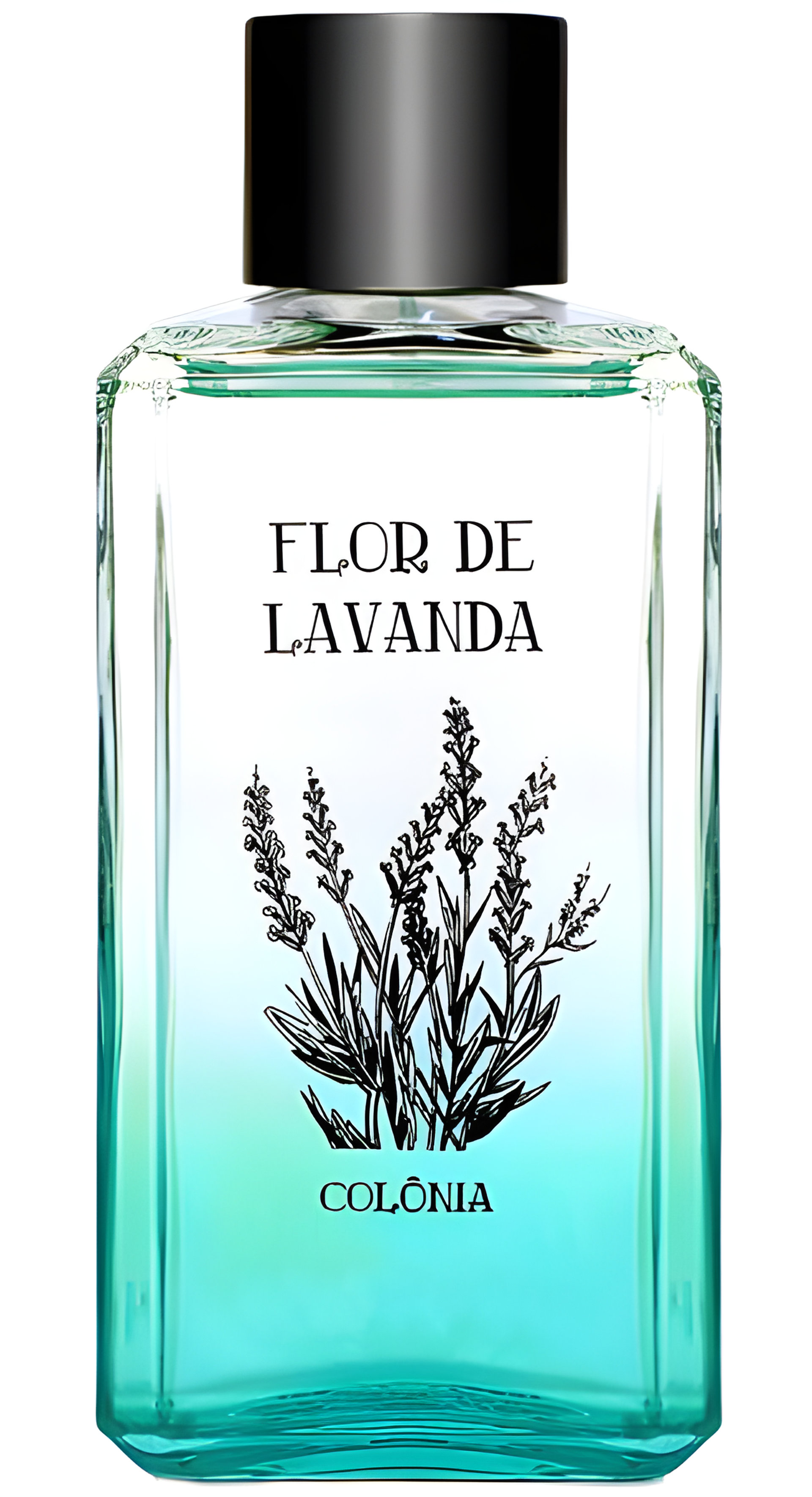 Picture of Flor de Lavanda fragrance