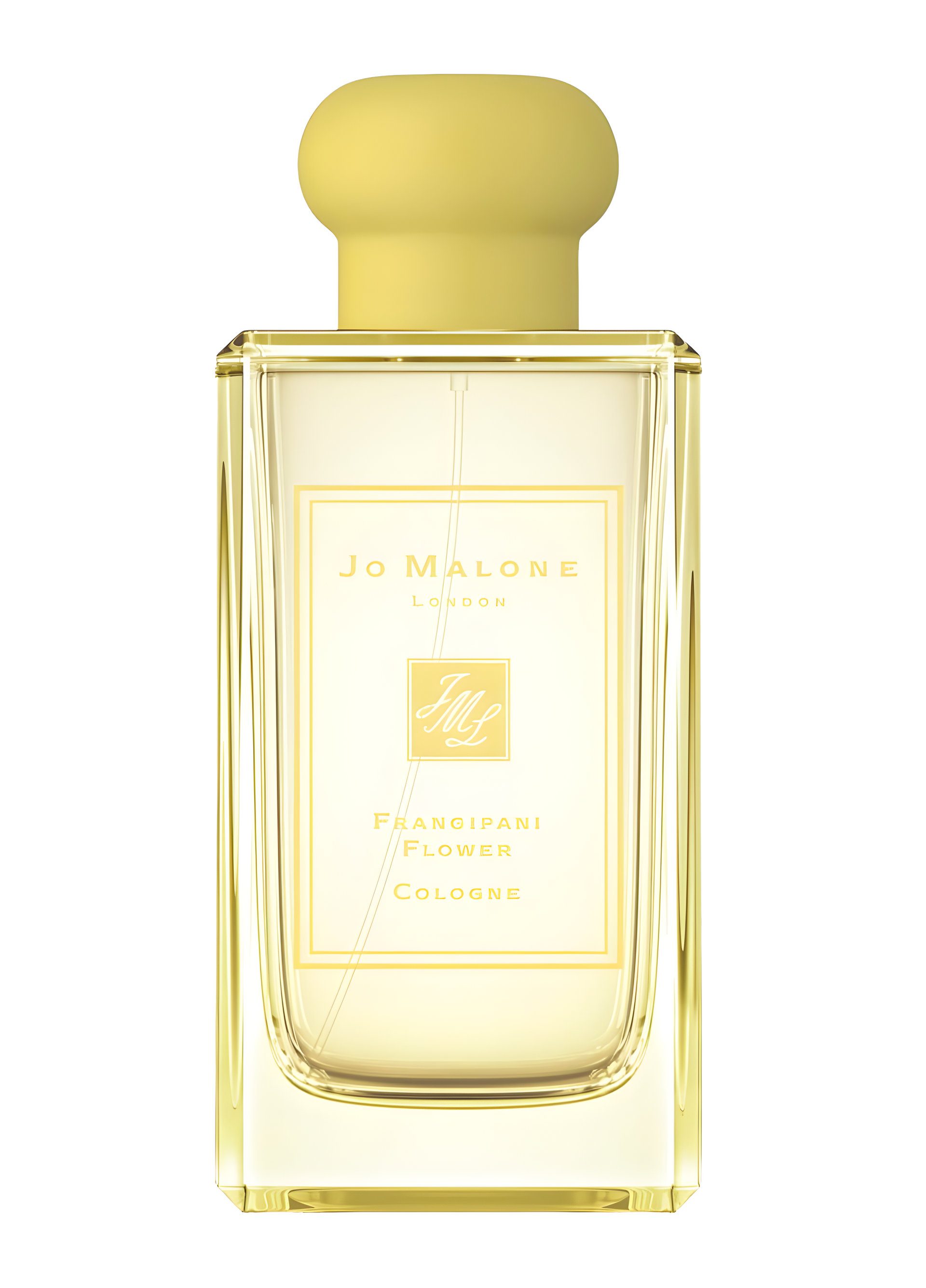 Picture of Frangipani Flower Cologne fragrance