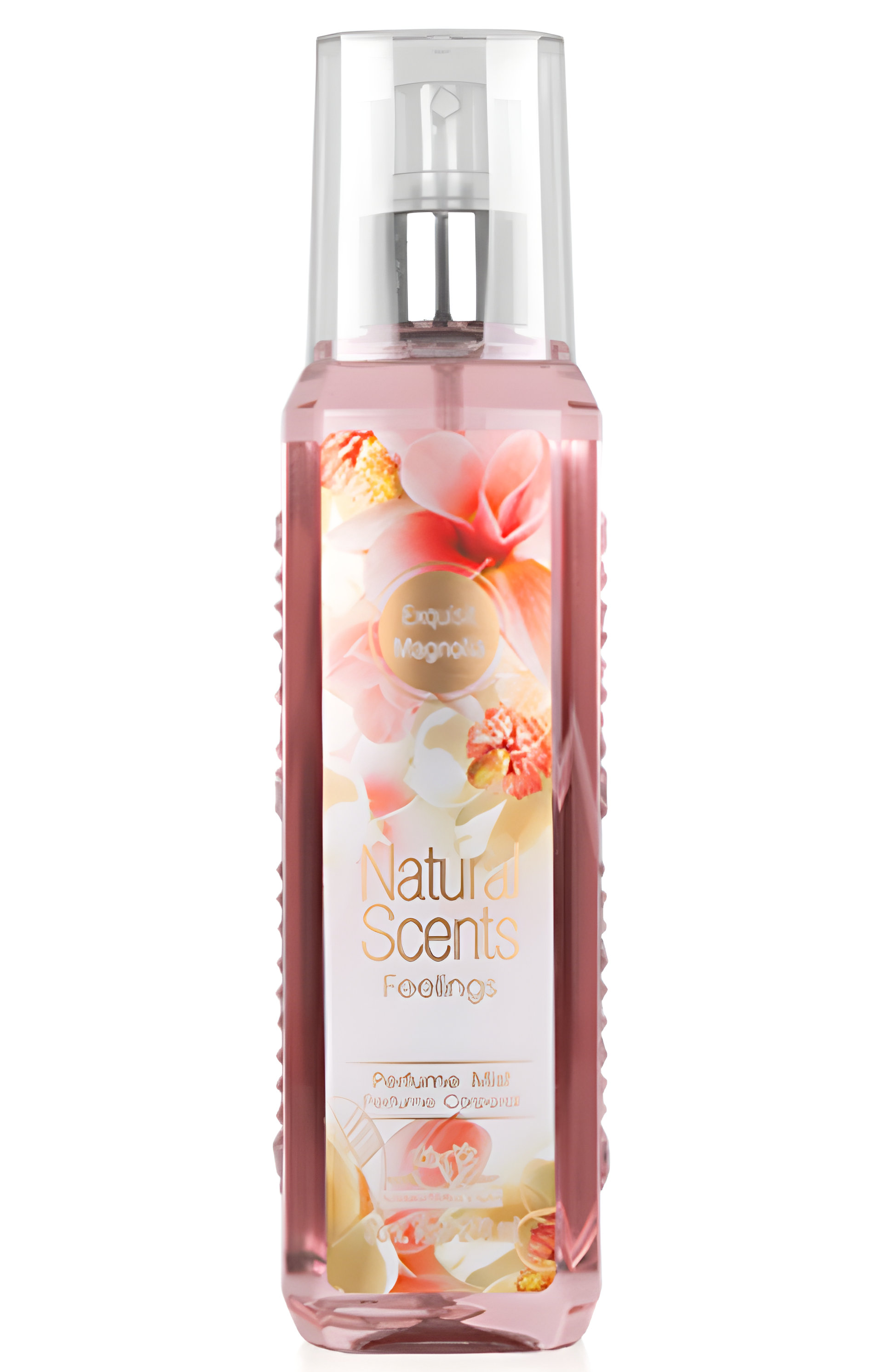 Picture of Exquisit Magnolia fragrance