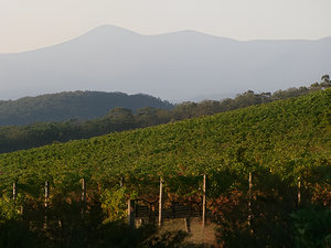 Kalgoorlie by Bud Parfums perfume bottle