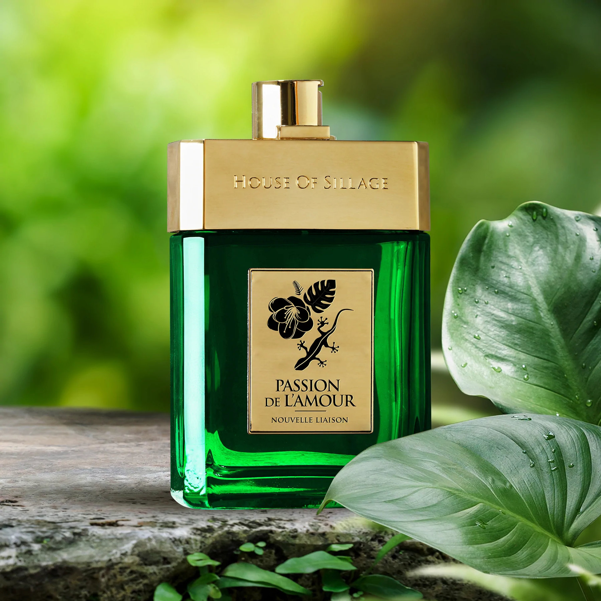 Picture of Passion de L'Amour Nouvelle Liaison Parfum fragrance
