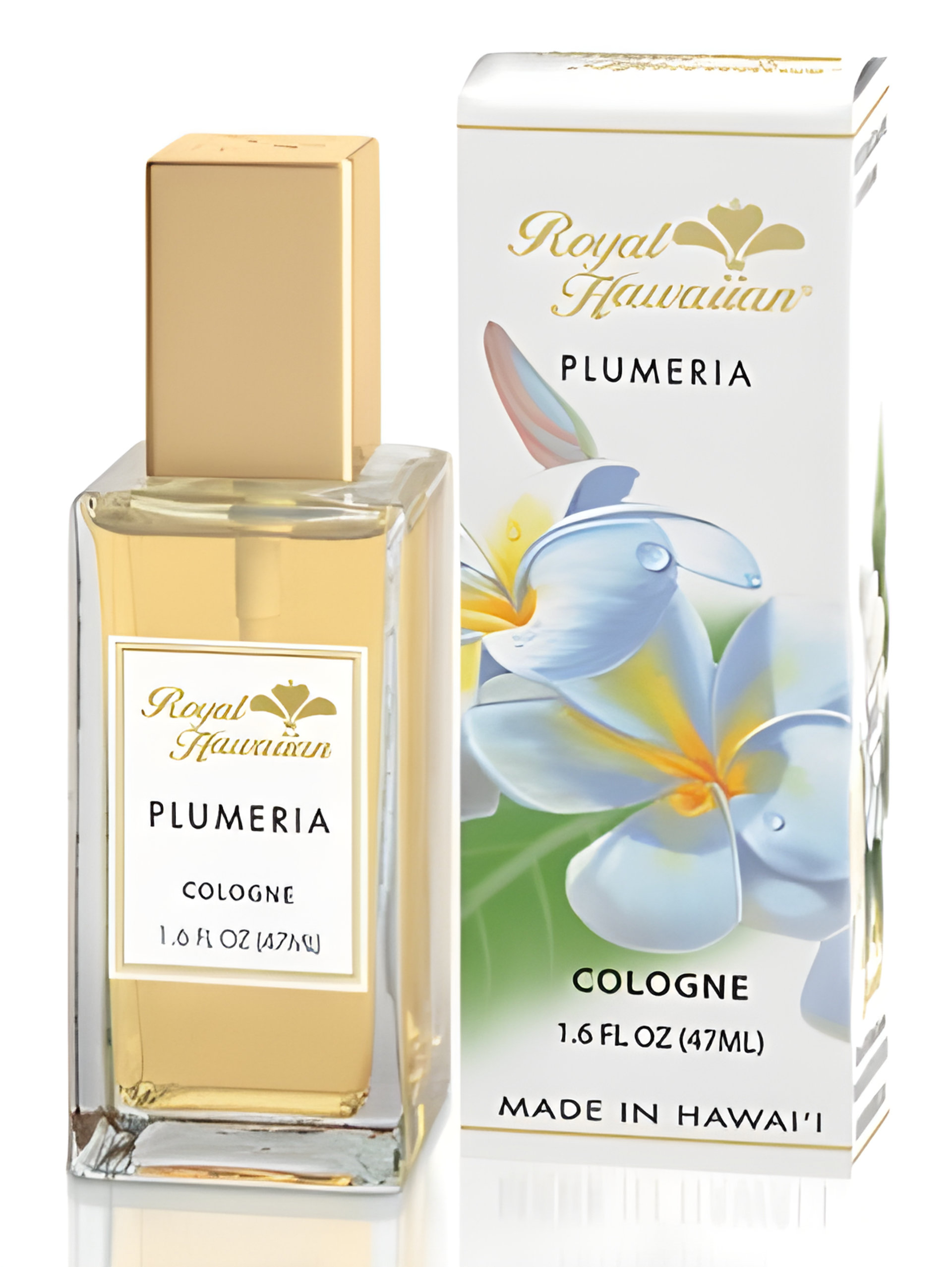 Picture of Plumeria fragrance