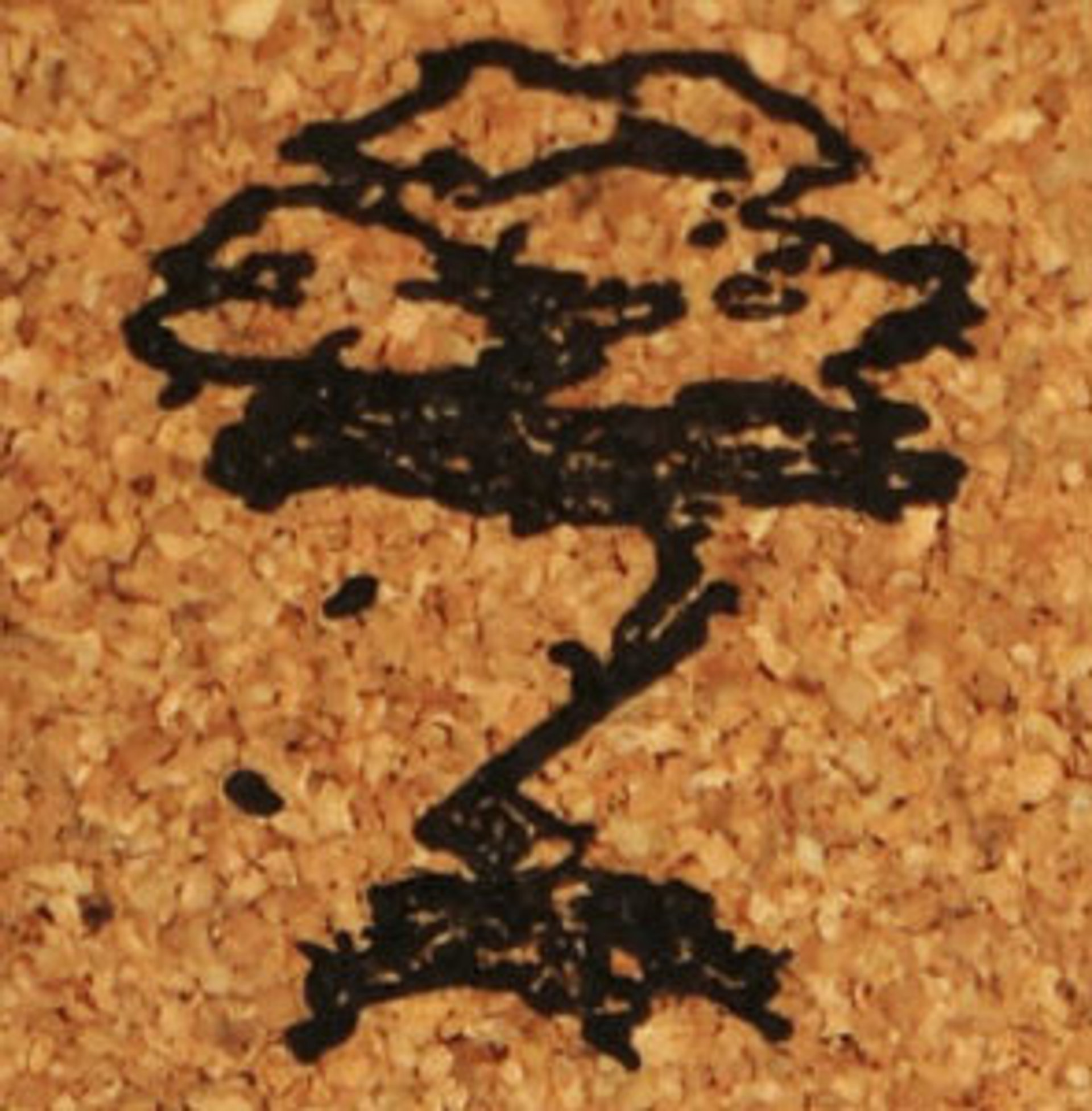 Picture of Altern Essence Perfume brand