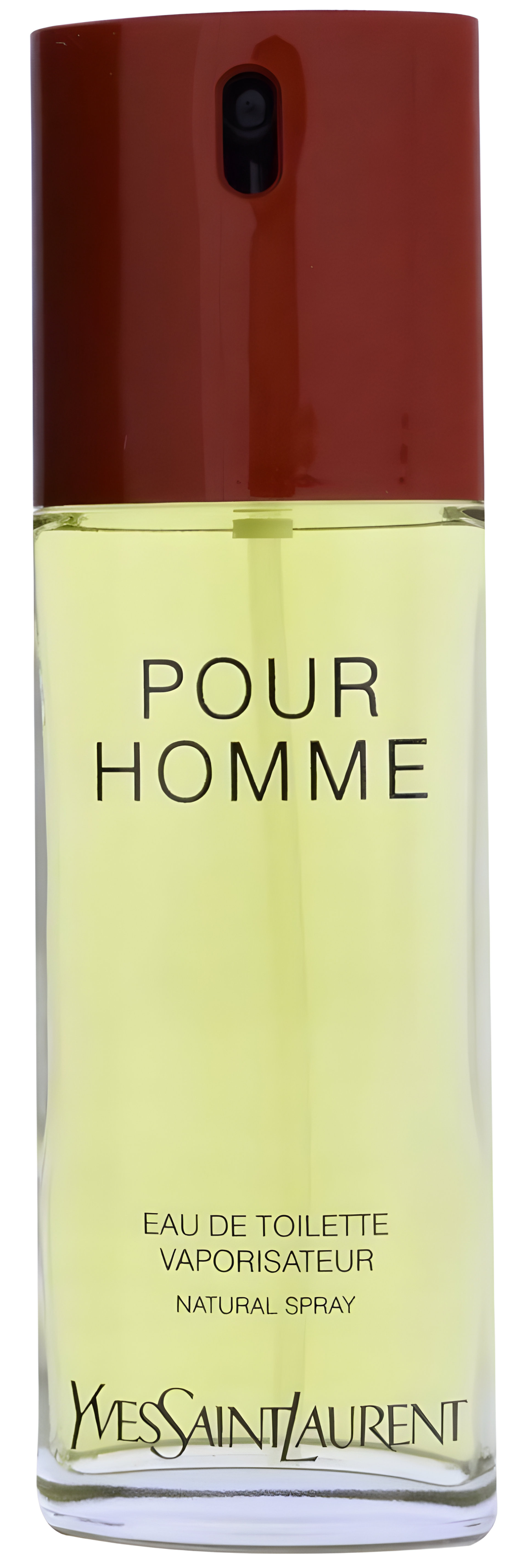 Picture of Yves Saint Laurent Pour Homme fragrance