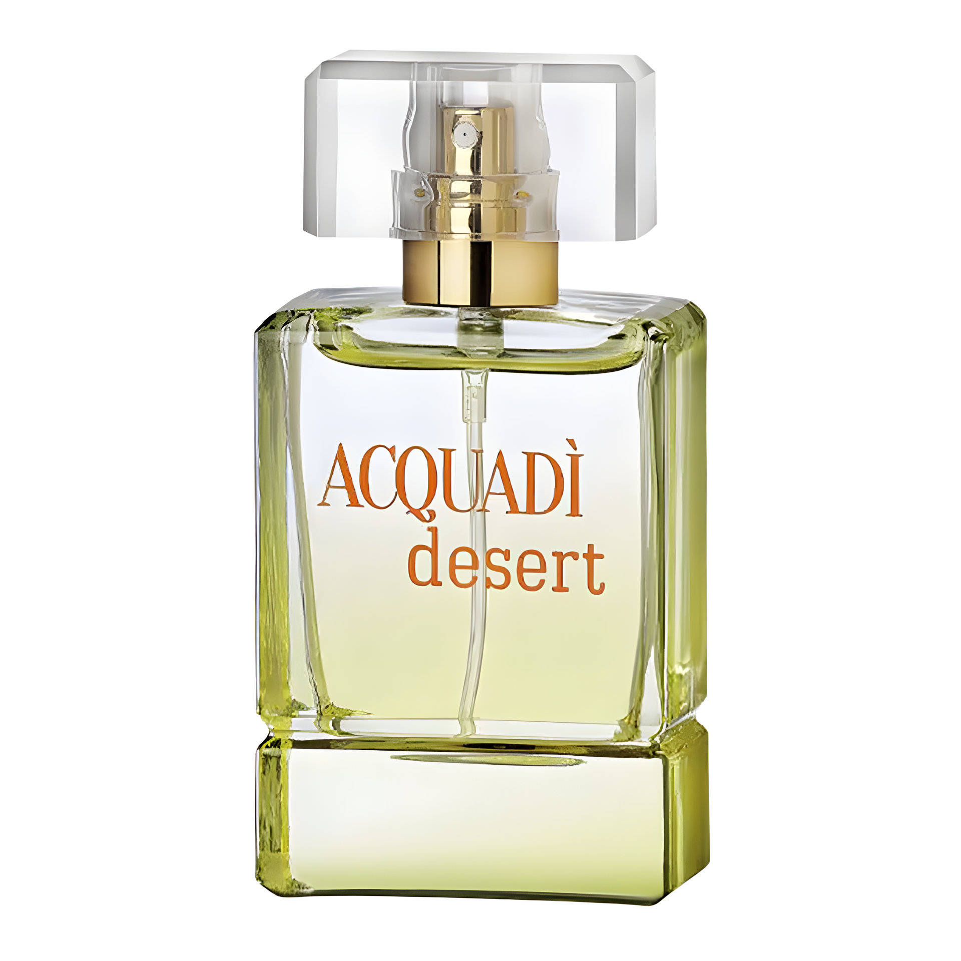 Picture of Desert fragrance
