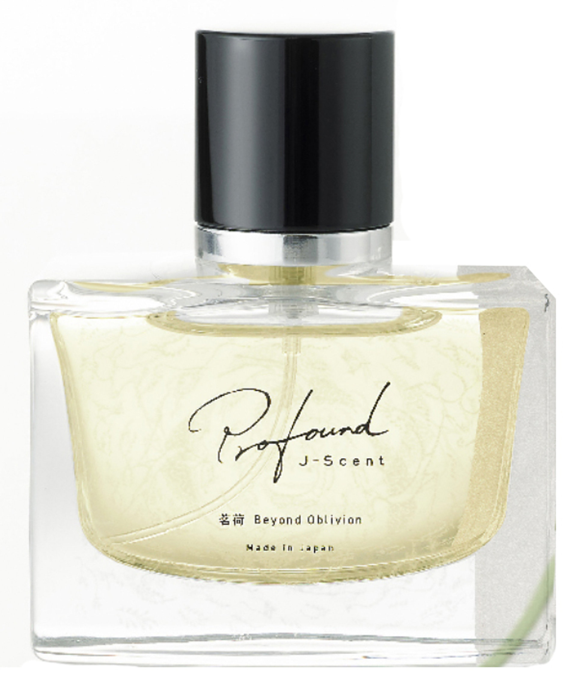 Picture of Beyond Oblivion fragrance