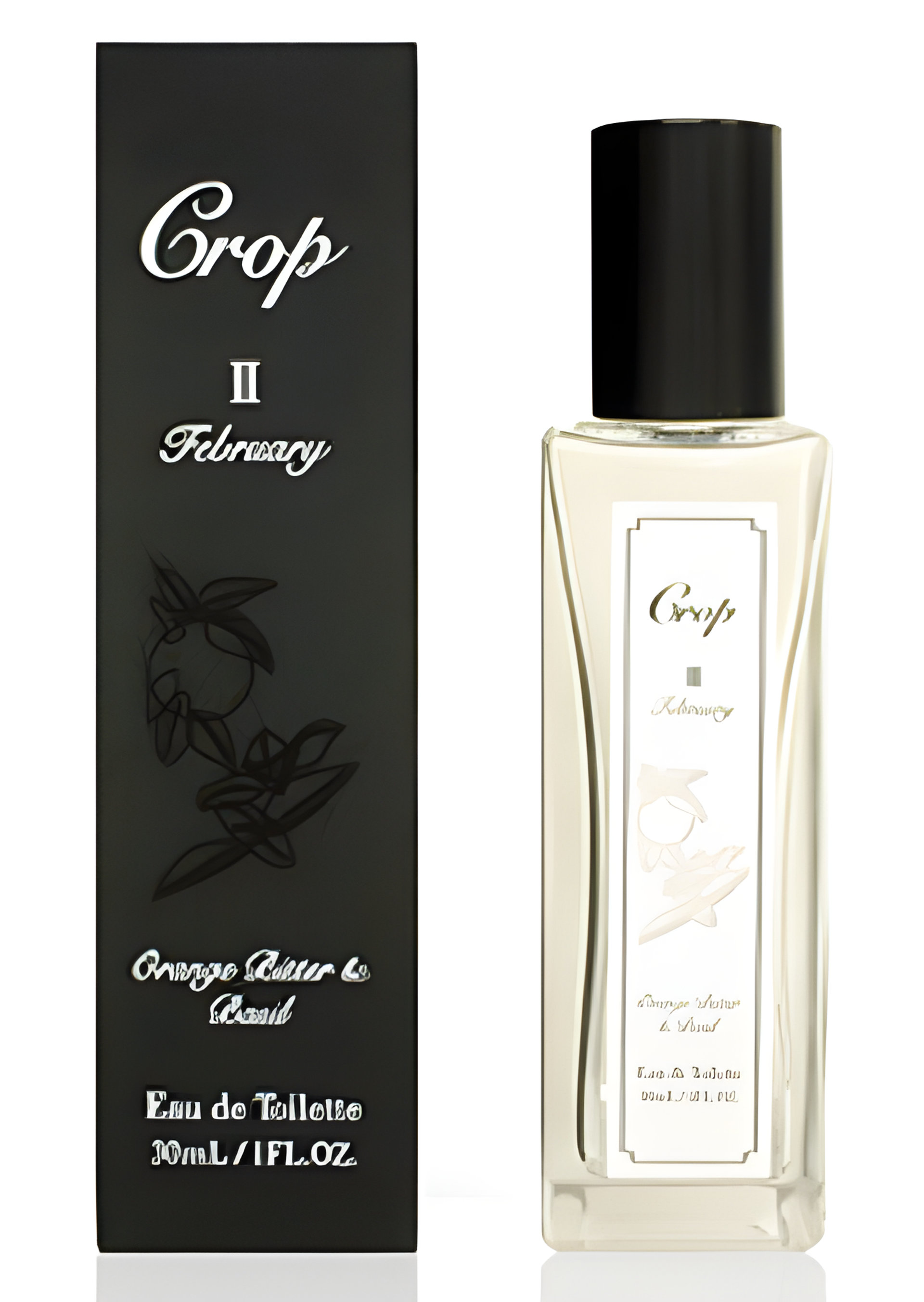 Picture of II February fragrance