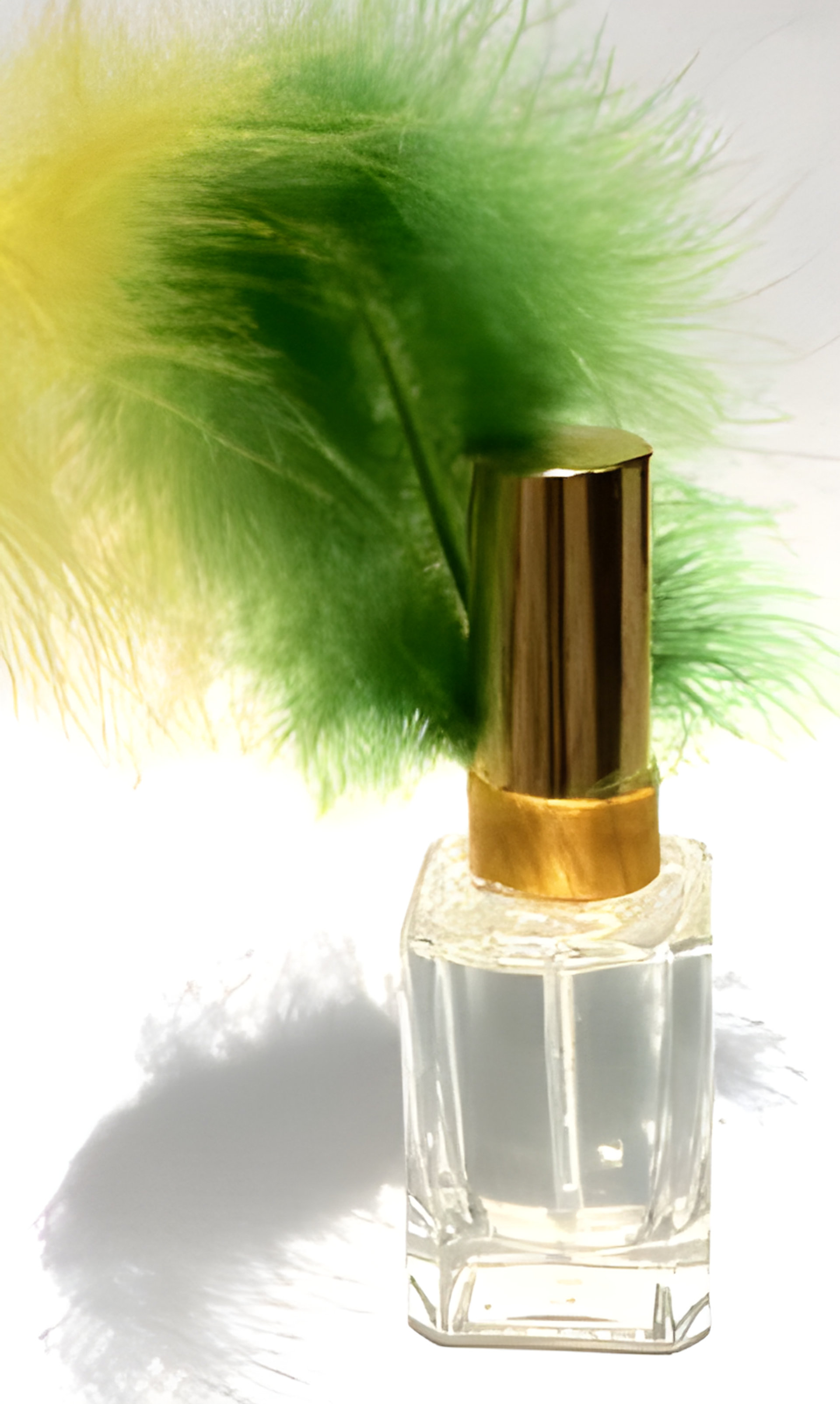 Picture of La Vida Loca WM Edition Brasil fragrance