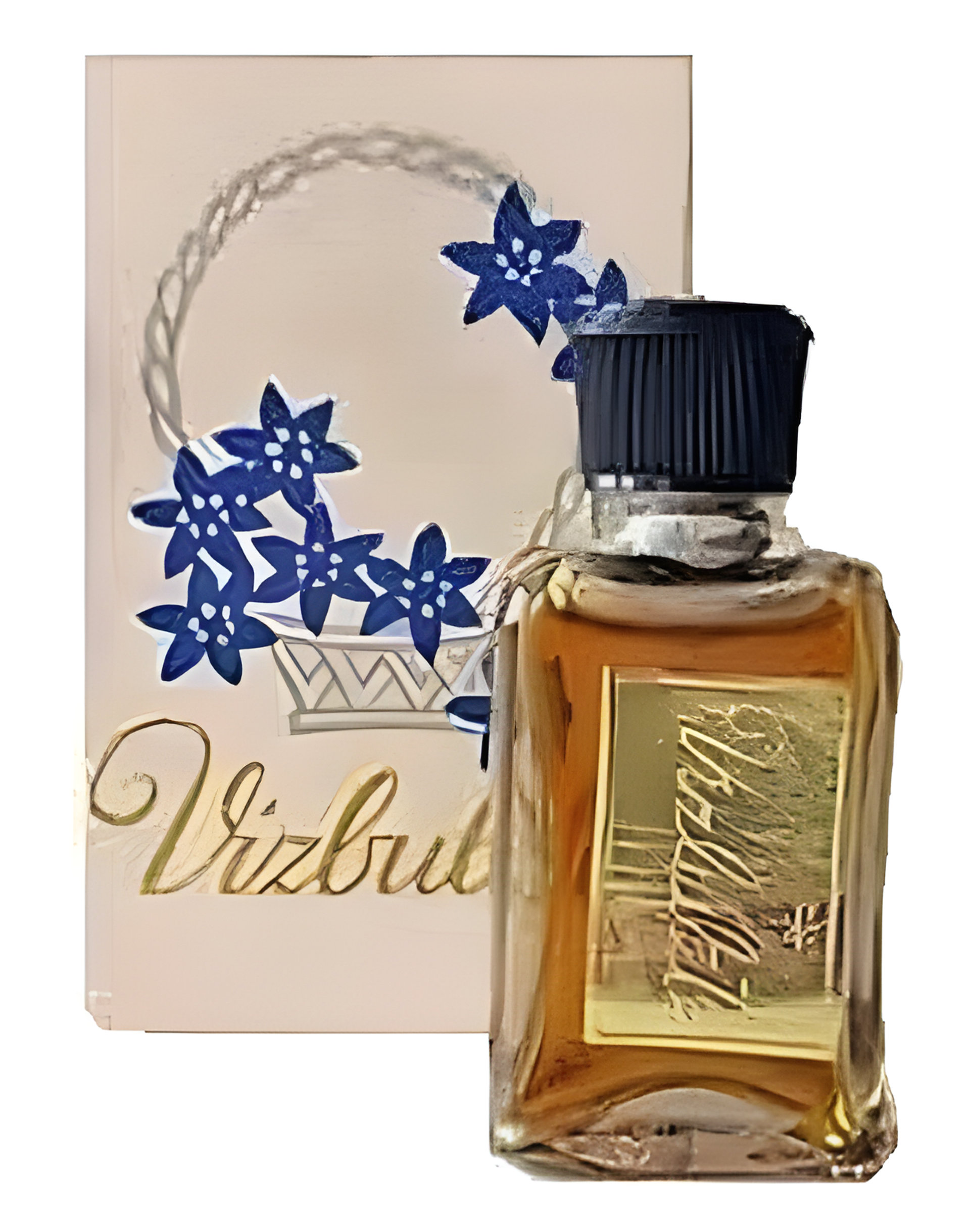 Picture of Vizbulīte (Лесные Фиалки) fragrance