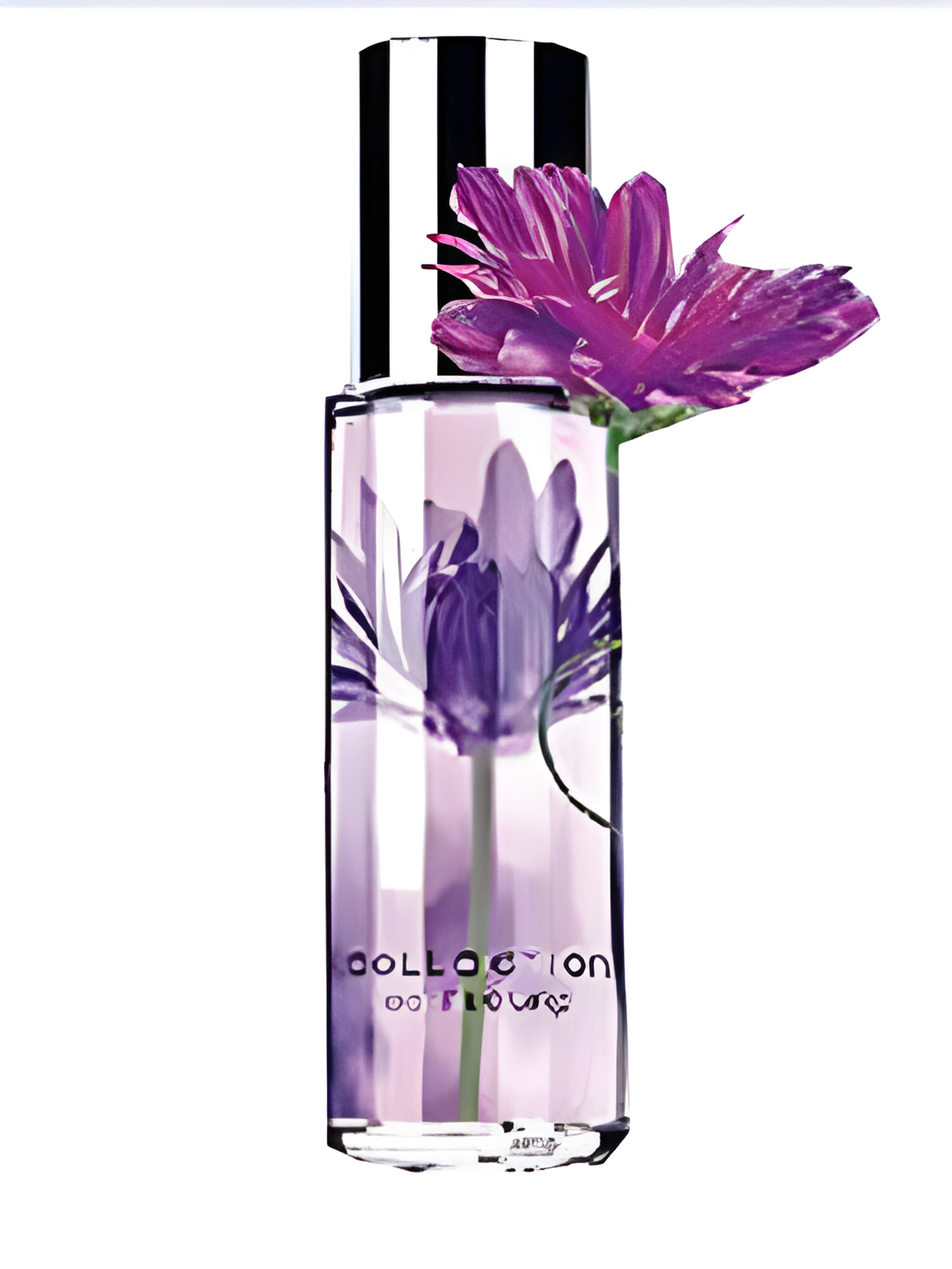 Picture of Passionate Purple fragrance