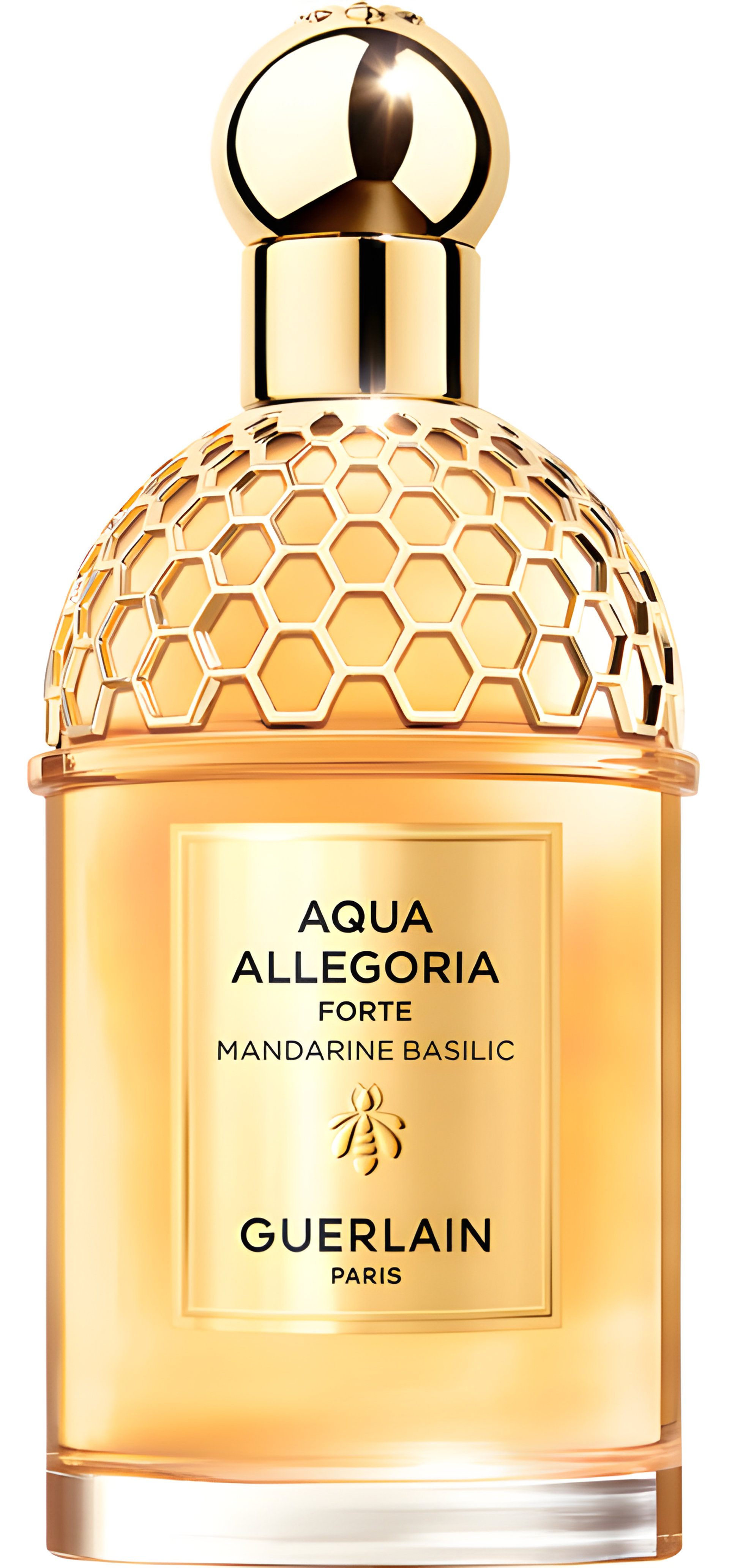 Picture of Aqua Allegoria Forte Mandarine Basilic fragrance