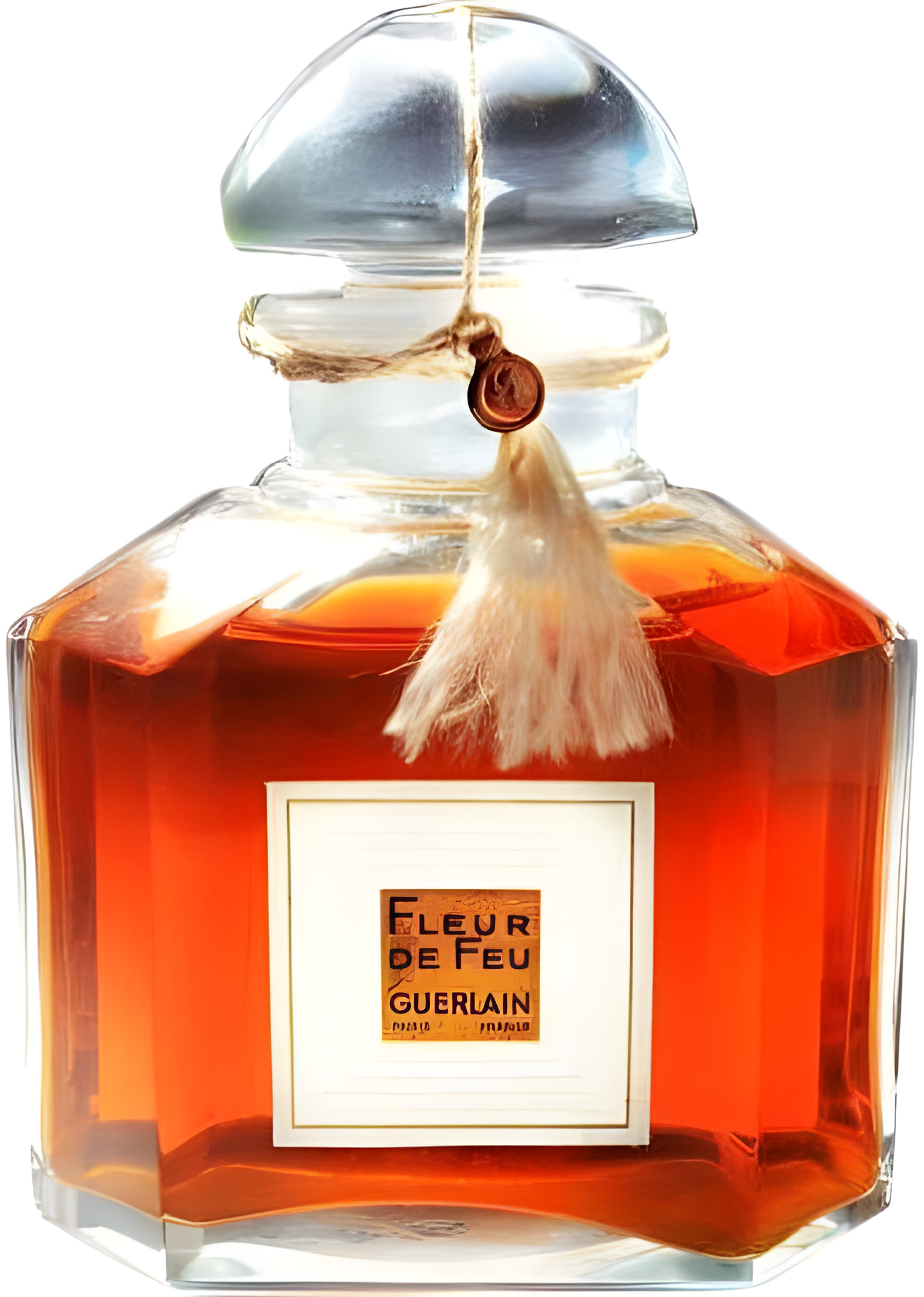 Picture of Fleur de Feu fragrance