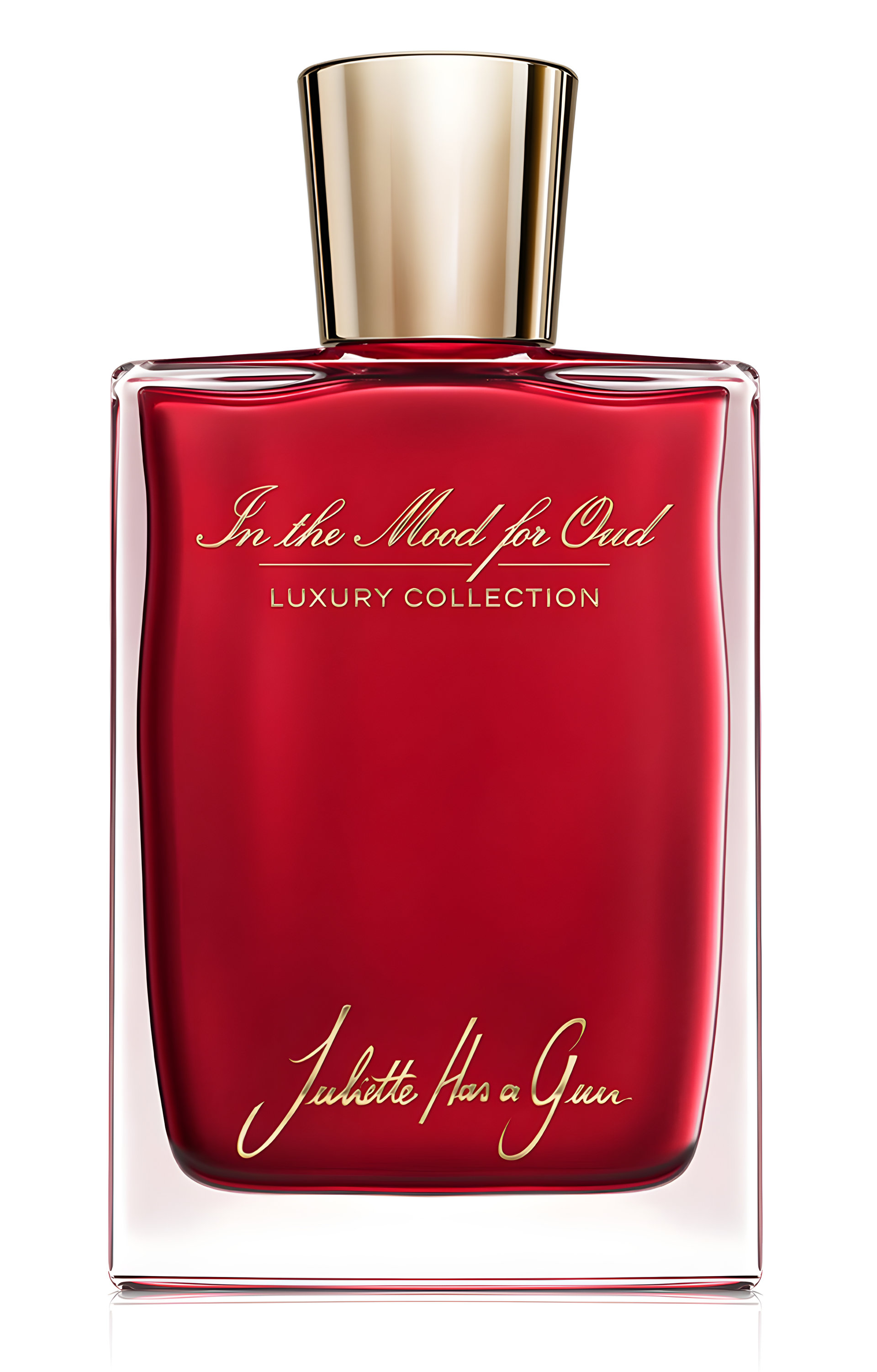 Picture of In the Mood for Oud fragrance