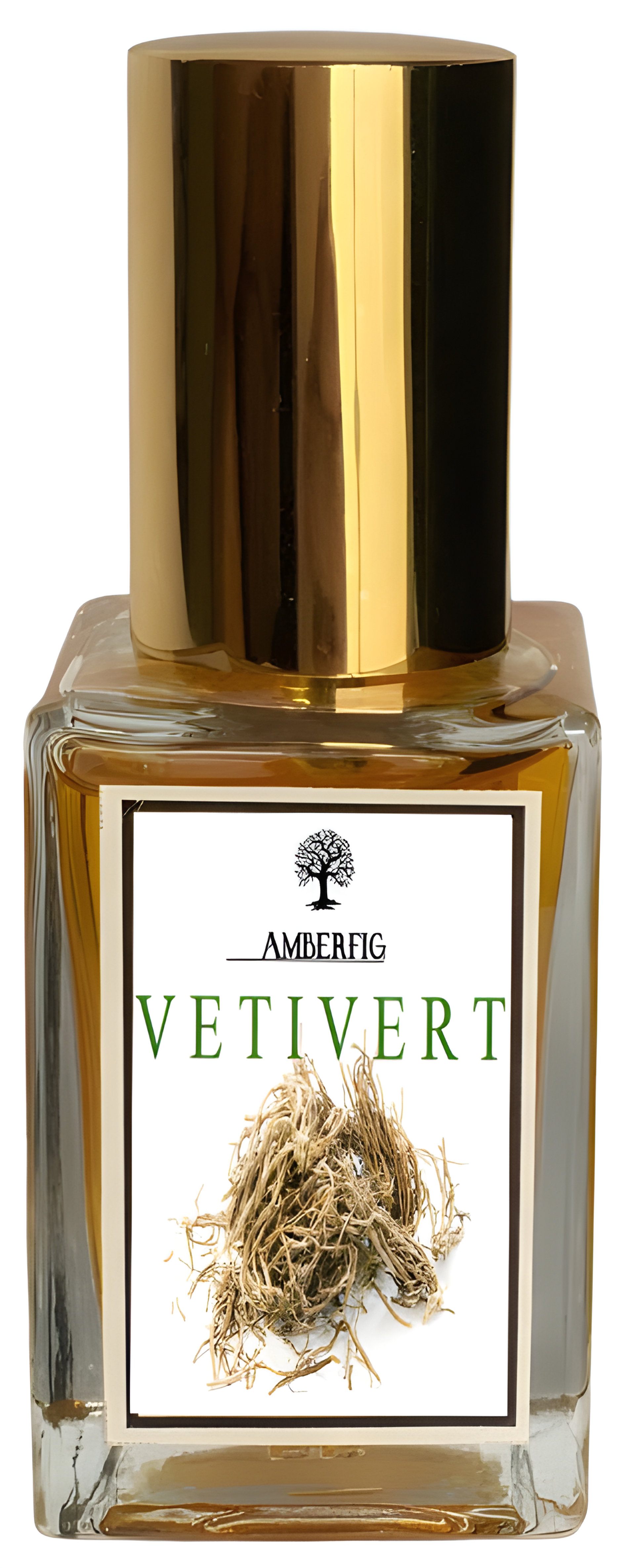Picture of Vetivert fragrance