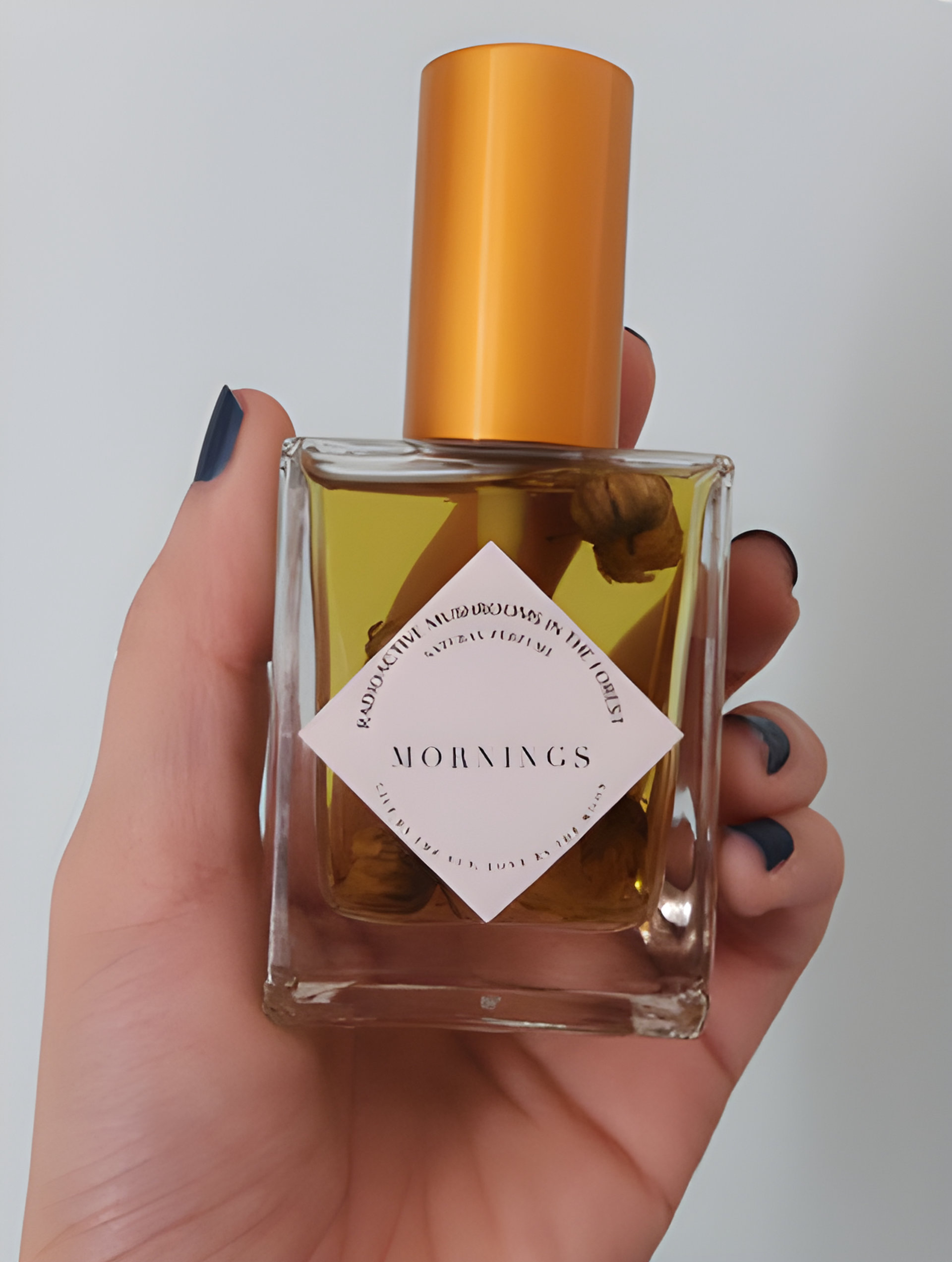 Picture of Mornings fragrance