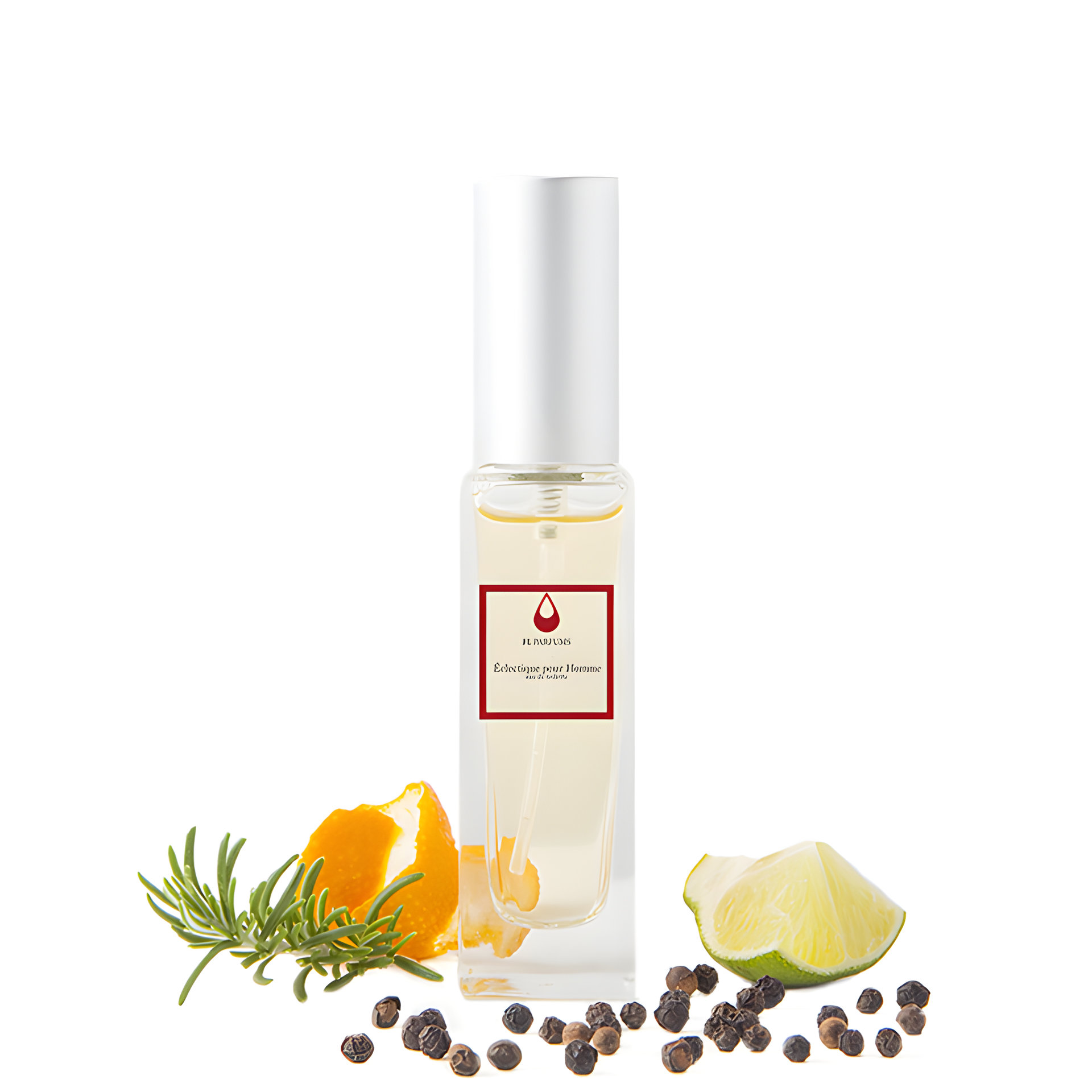 Picture of Eclectique Pour Homme fragrance