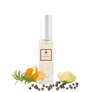 Eclectique Pour Homme by FL Parfums perfume bottle