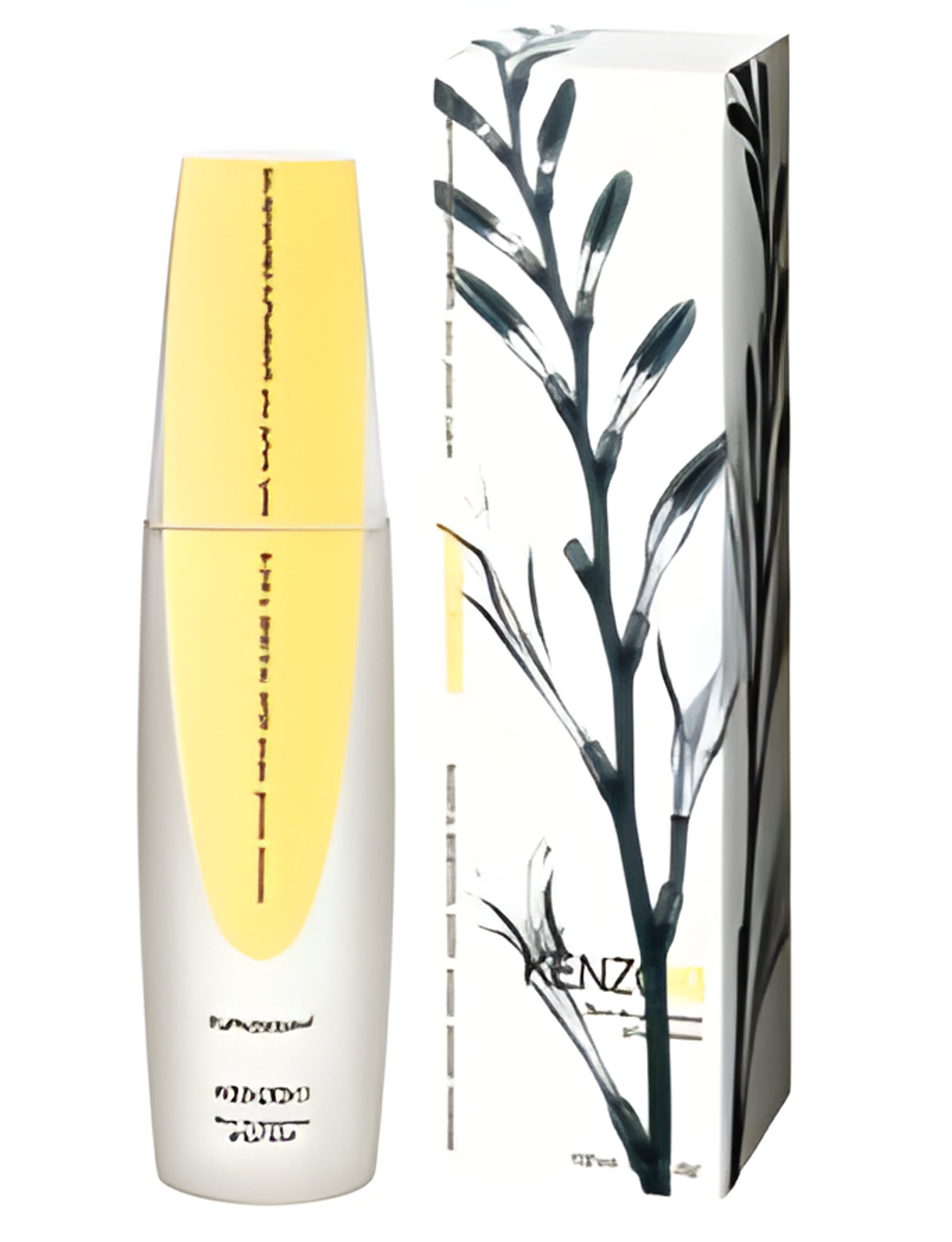 Picture of KenzoKi Ginger Flower (Euphoric) fragrance