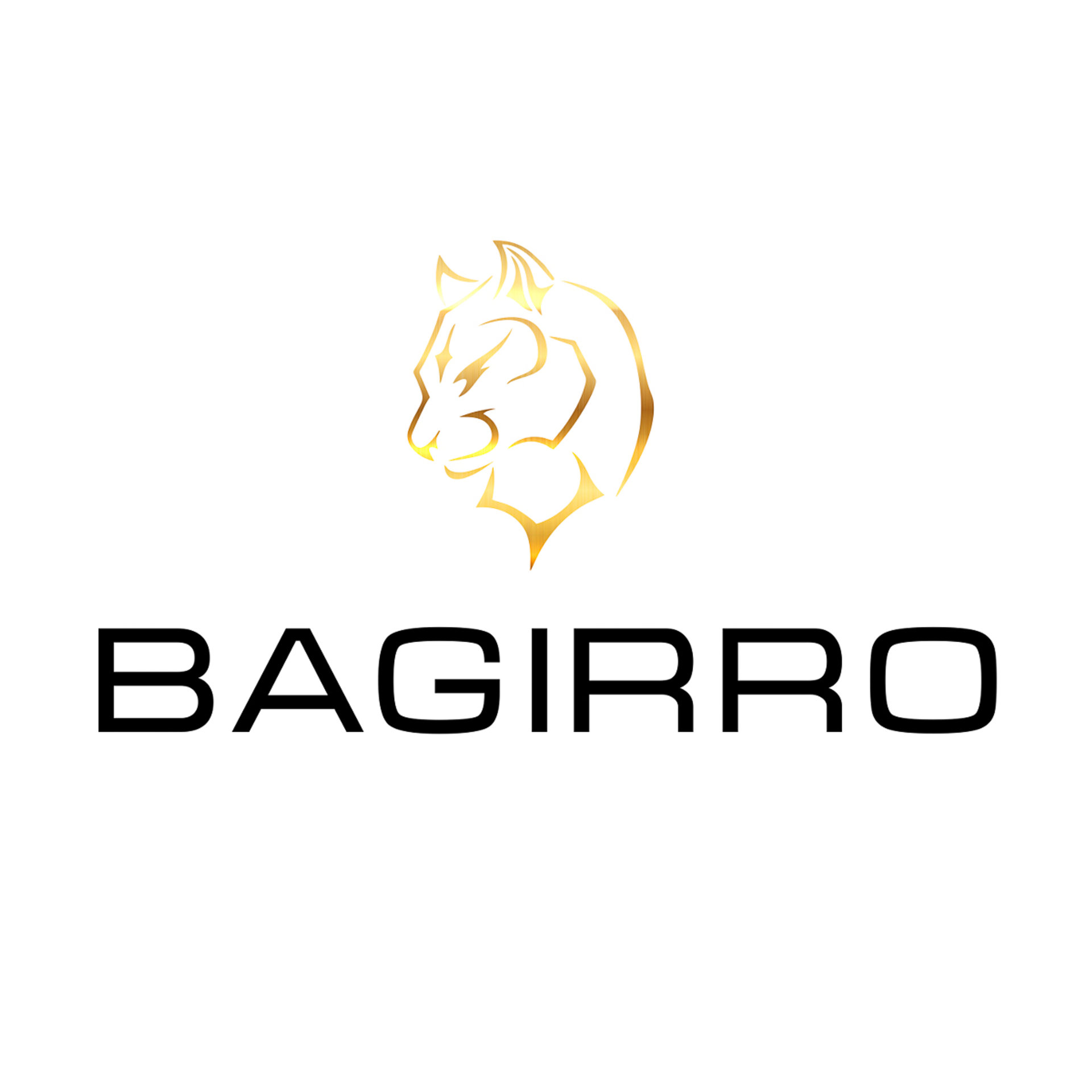 Picture of Bagirro brand