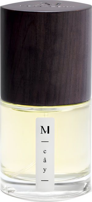 Cay by MetaScent perfume bottle