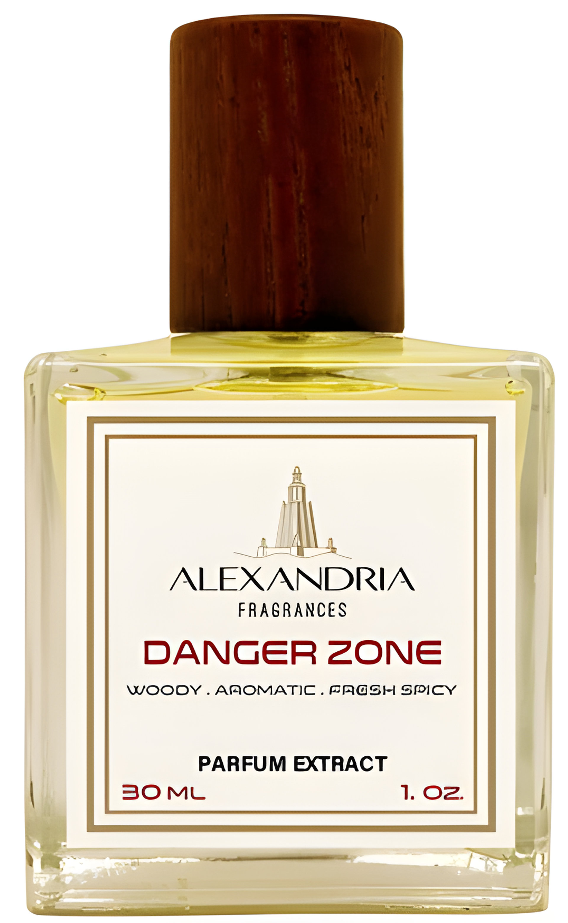 Picture of Danger Zone fragrance