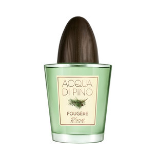 Acqua Di Pino Fougere by Pino Silvestre perfume bottle